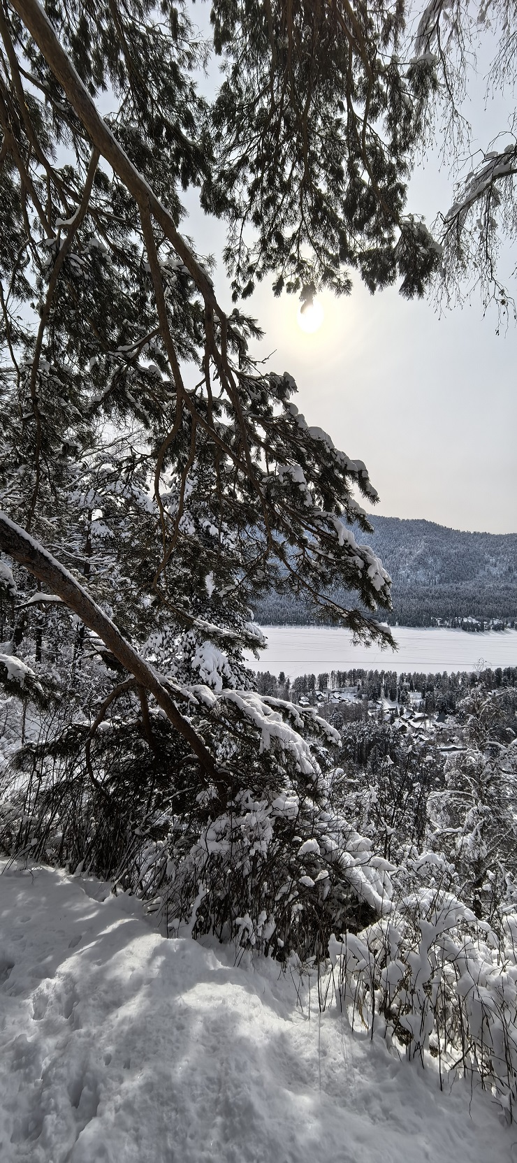 Велотур Зимний Горный Алтай. Телецкое озеро (6/29)