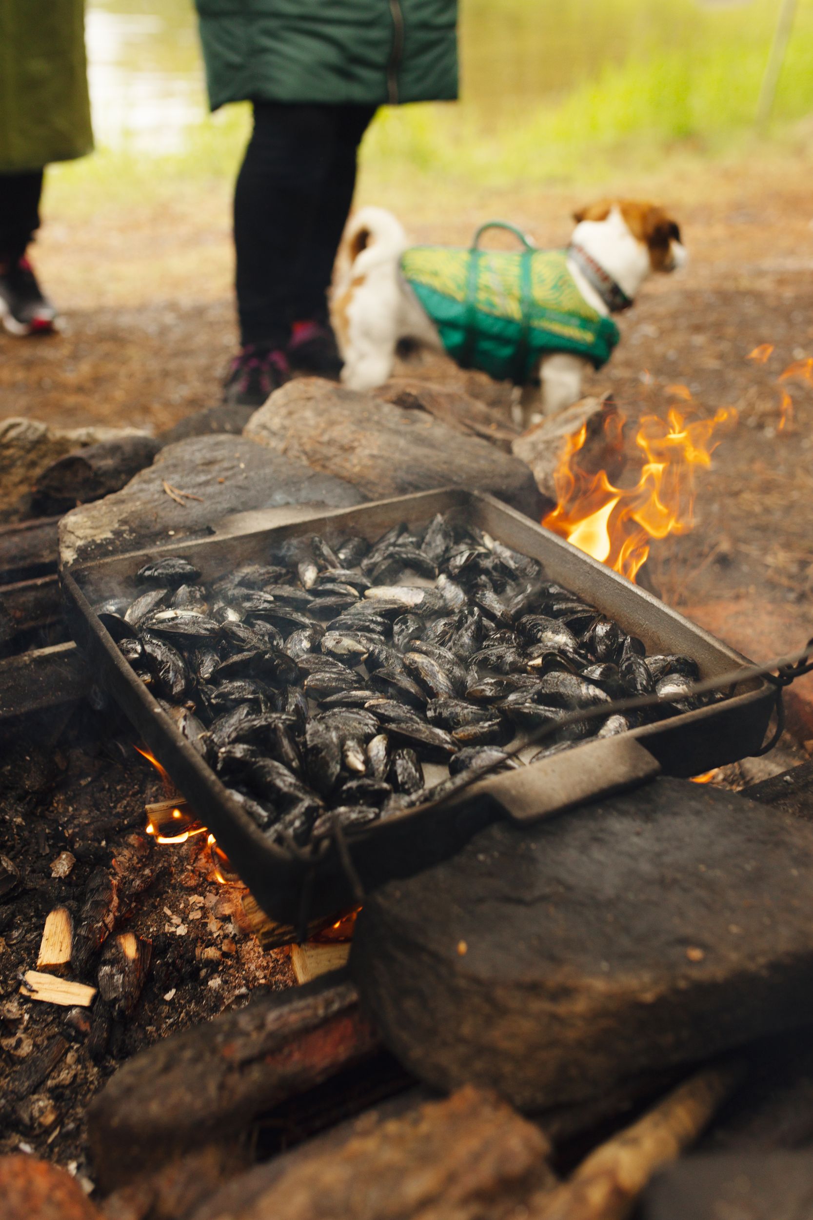 Соловки  Где Природа Встречается С Историей (28/30)