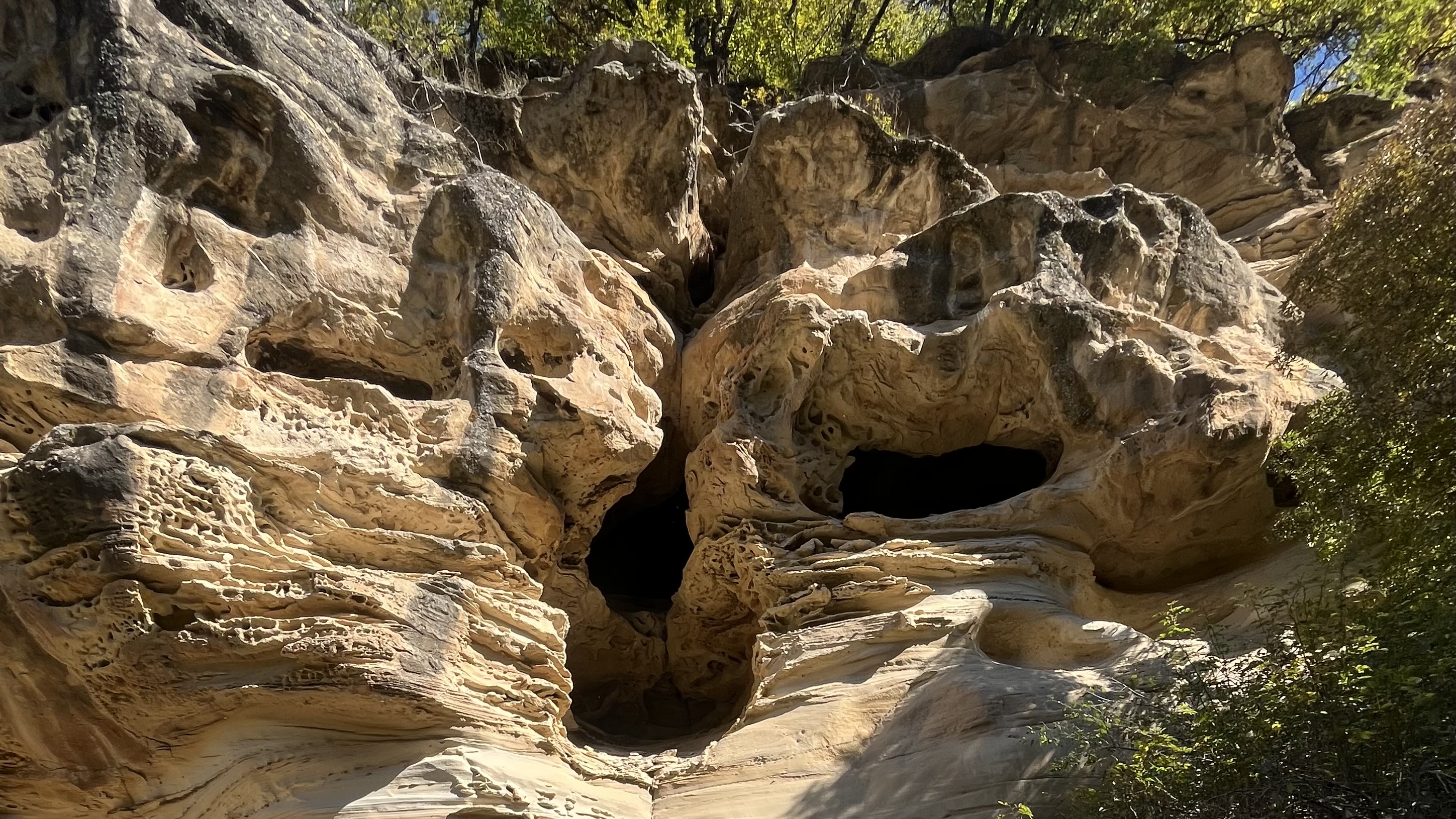 Джип  тур  в изюминку Кавказа  Домбай (17/34)