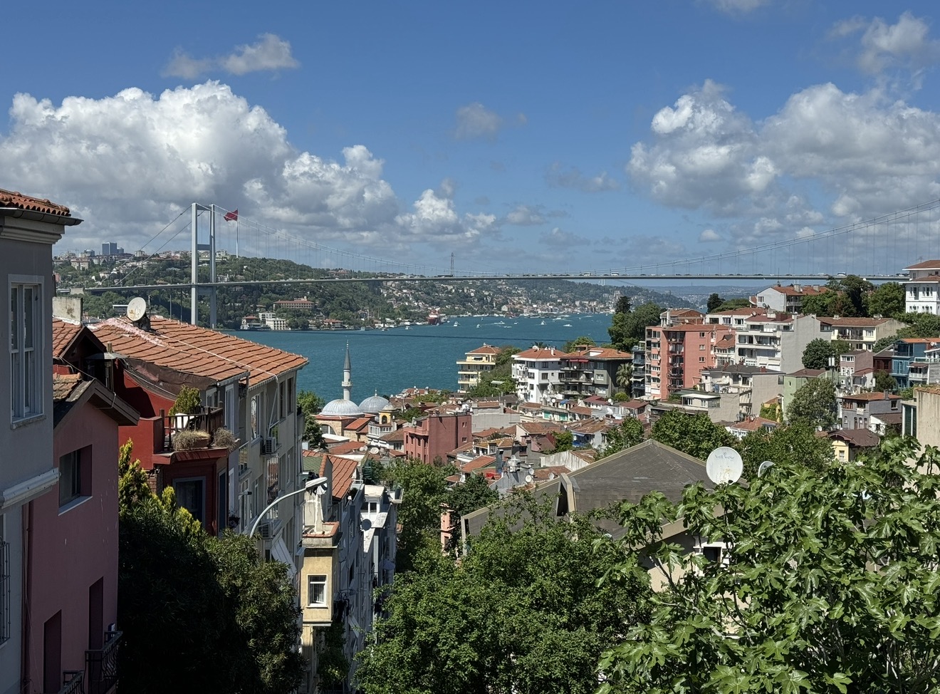 Фестиваль тюльпанов в Стамбуле (10/31)