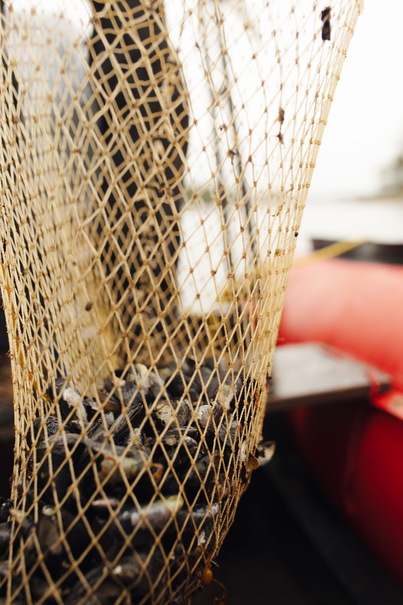 Соловки  Где Природа Встречается С Историей (29/30)