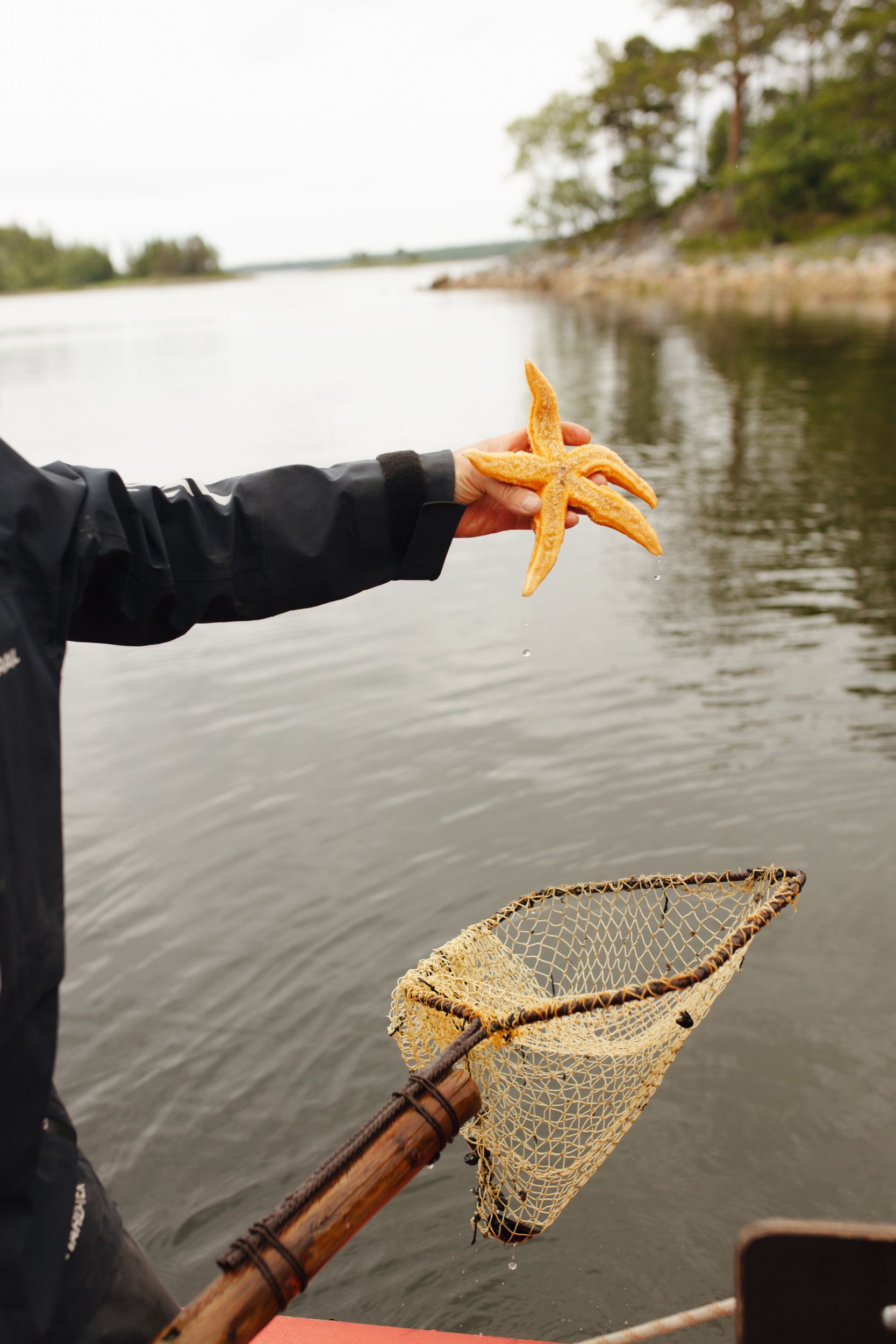Соловки  Где Природа Встречается С Историей (30/30)