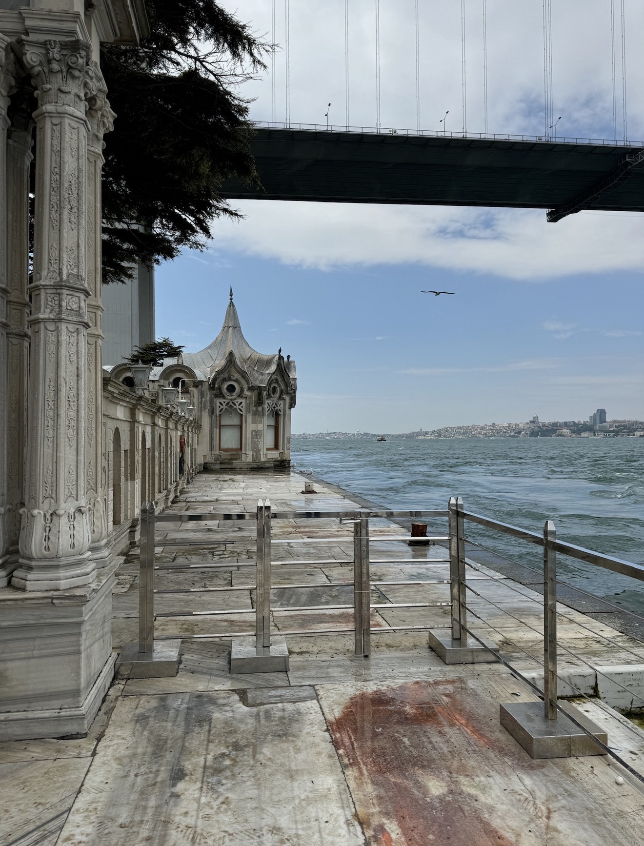 Фестиваль тюльпанов в Стамбуле (11/31)