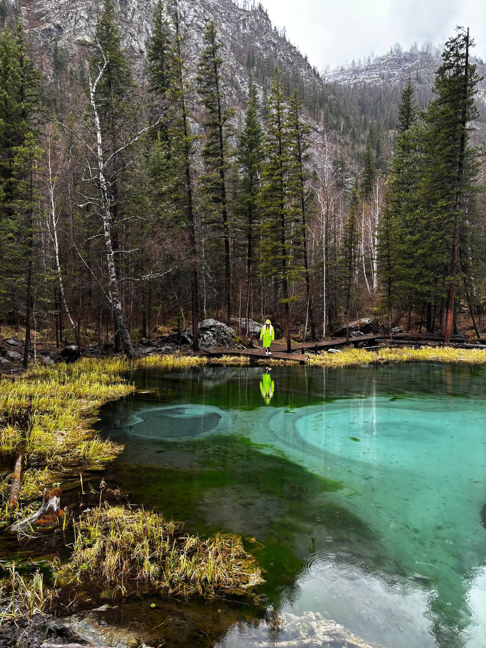Цветение Маральника + Алтайский Марс на Алтае (4/10)
