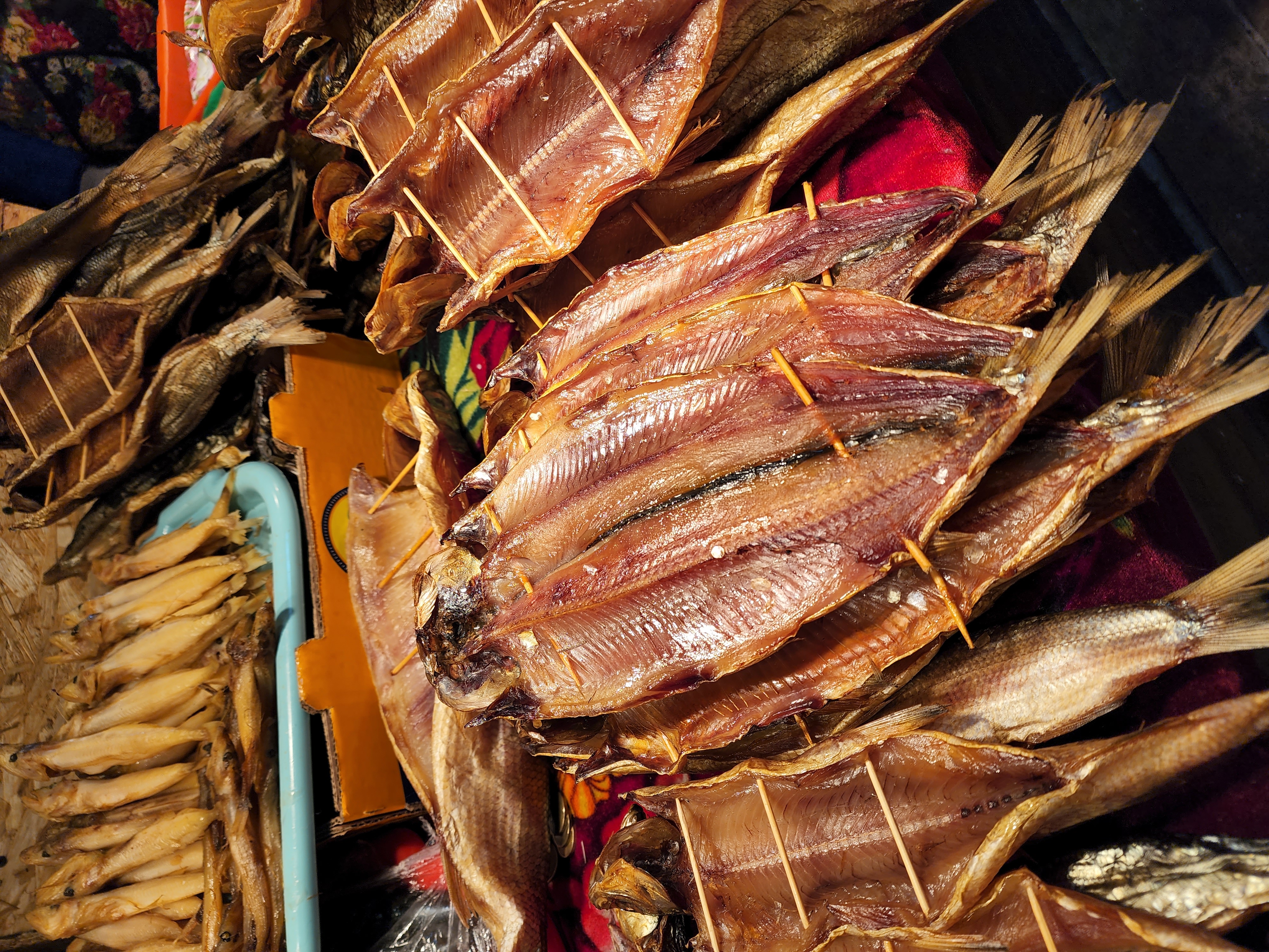 Баллада об Ольхоне и Листвянке (Комфорт): Иркутск, Листвянка, Тальцы, Ольхон. (57/79)