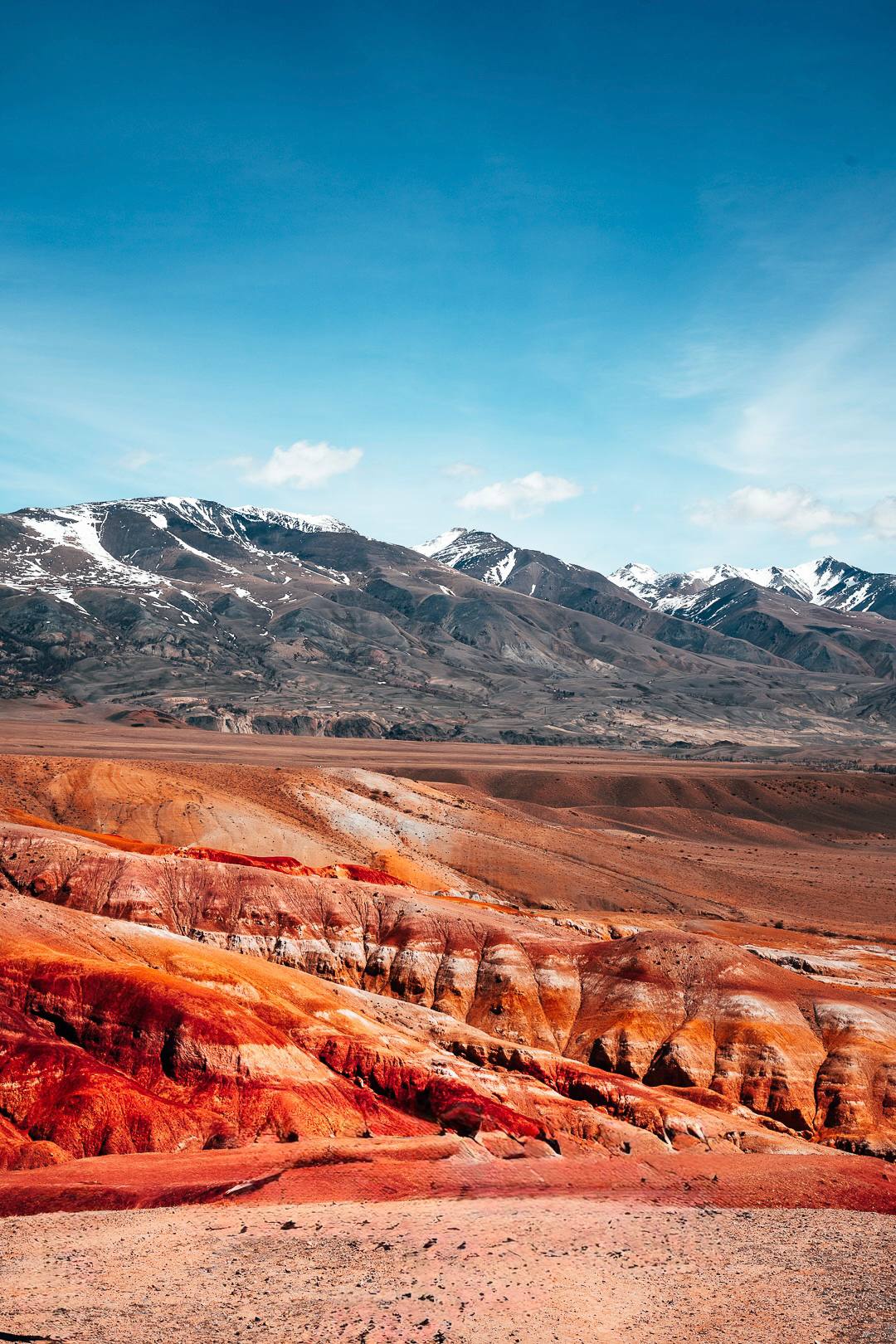 Цветение Маральника + Алтайский Марс на Алтае (5/10)