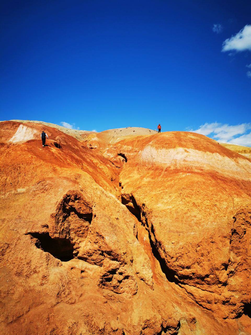 Цветение Маральника + Алтайский Марс на Алтае (3/10)