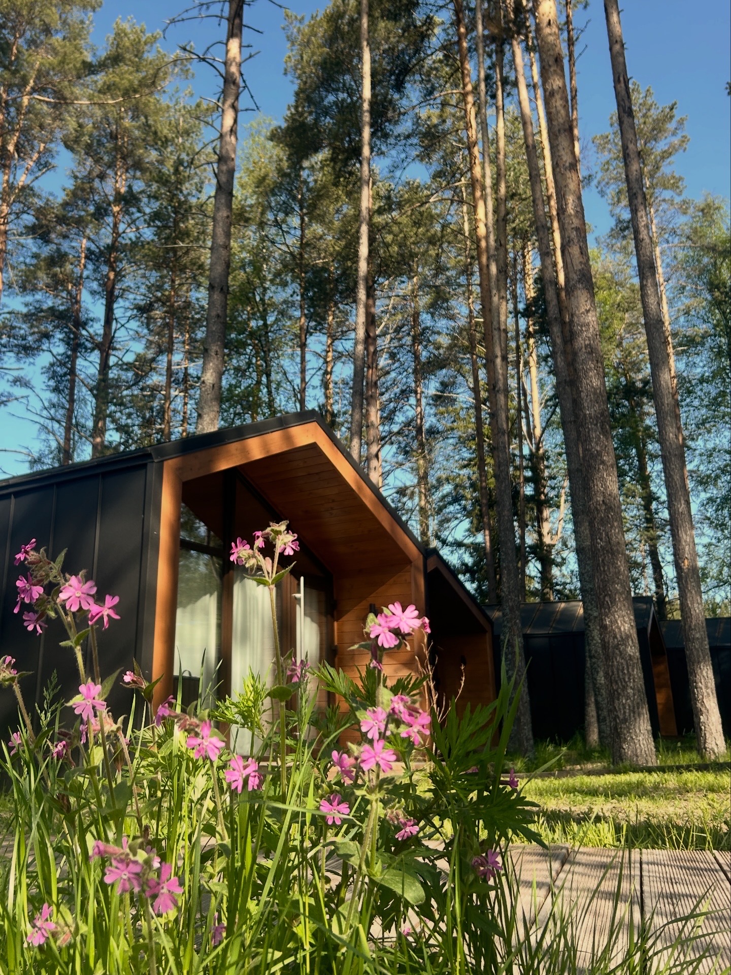 Три жемчужины Карелии: Рускеала, Валаам, водопад Юканкоск - 3 дня, Домики на берегу