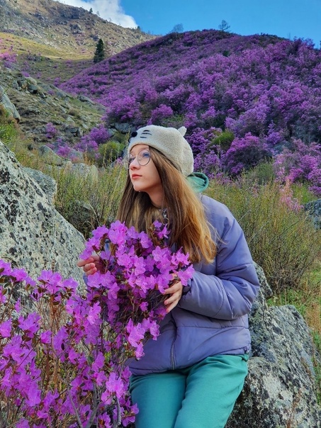 Цветение Маральника + Алтайский Марс на Алтае