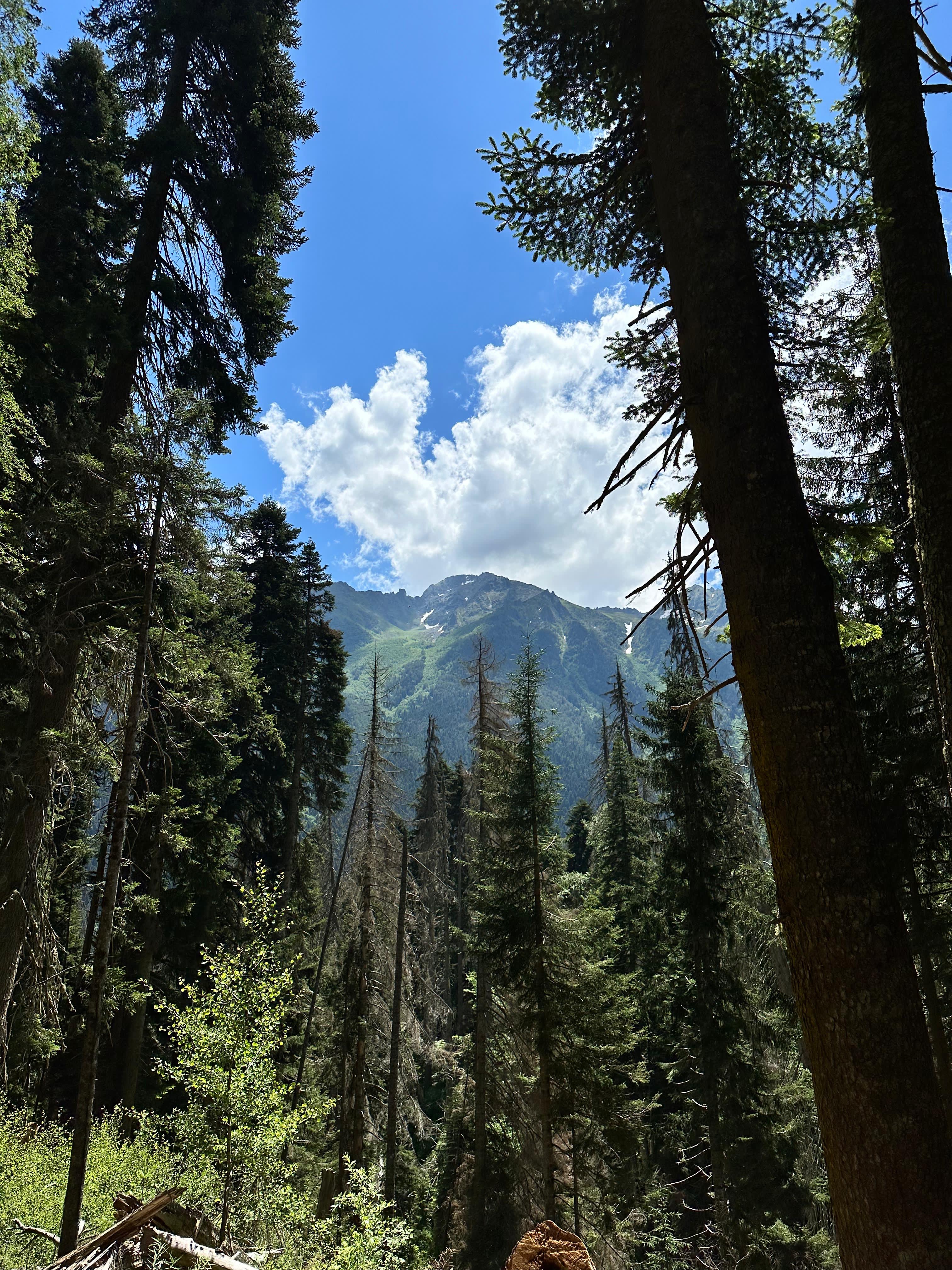 Авторский тур по Карачаево-Черкесии: походы по красивейшим местам (4 дня) (4/10)