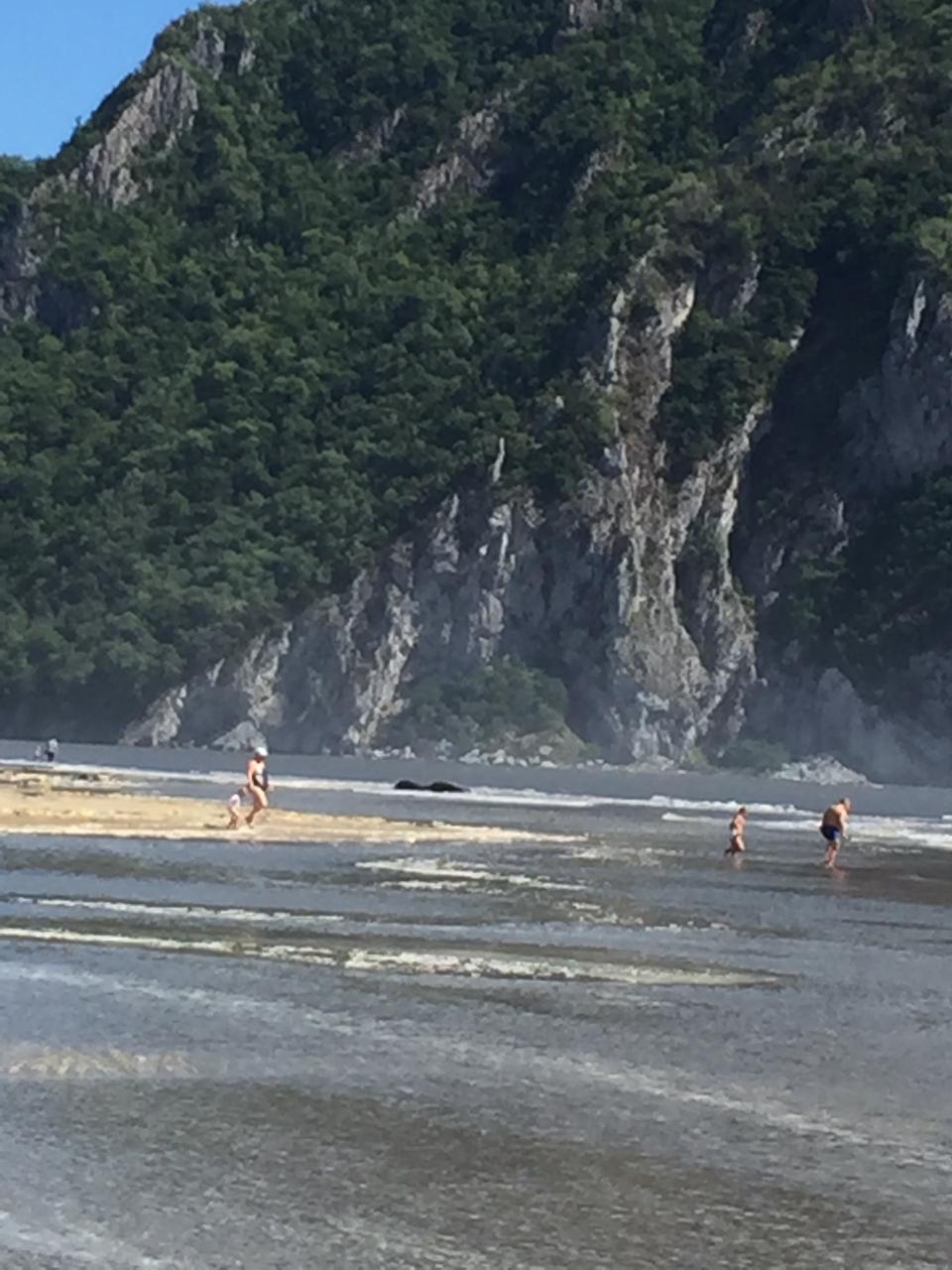 Тур Путешествие на Восток  Находка, море и цветы (13/13)