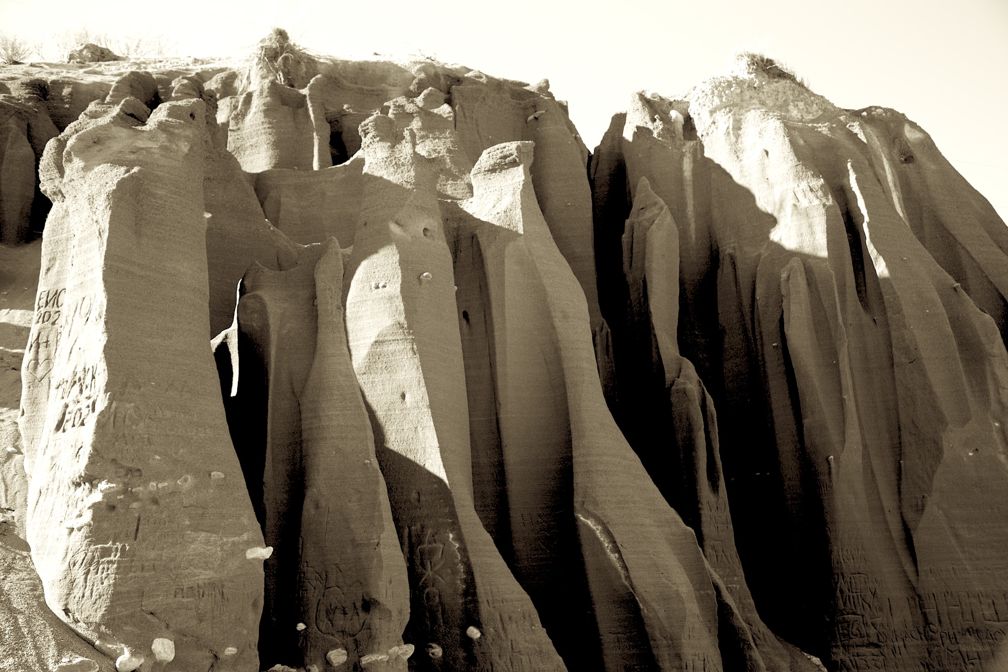 Путешествие к тайнам Горного Алтая (89/111)