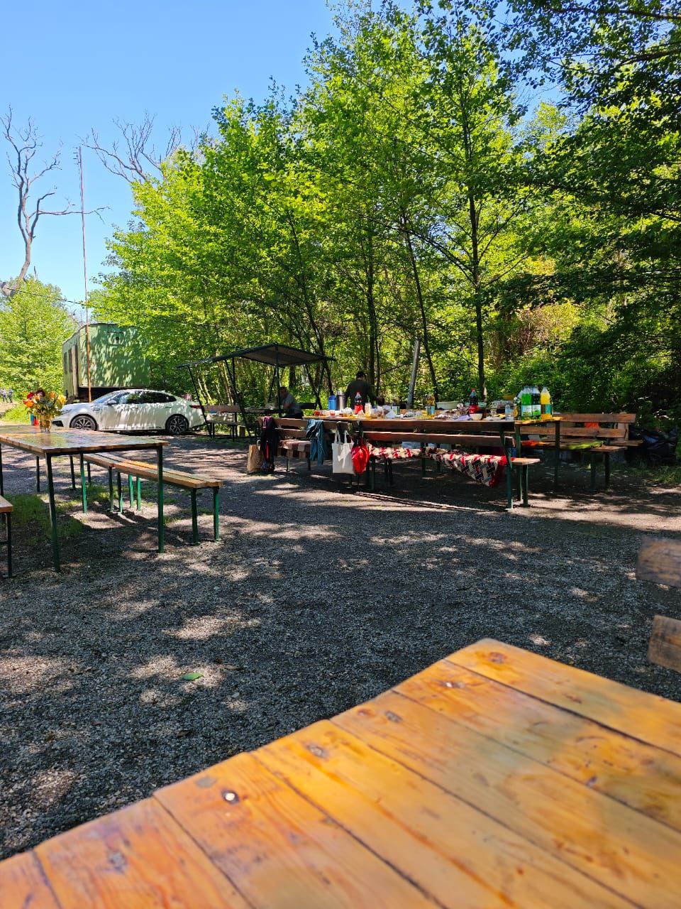Самурский лиановый лес, экраноплан Лунь и пляж с черным песком. Купальный тур. (10/10)