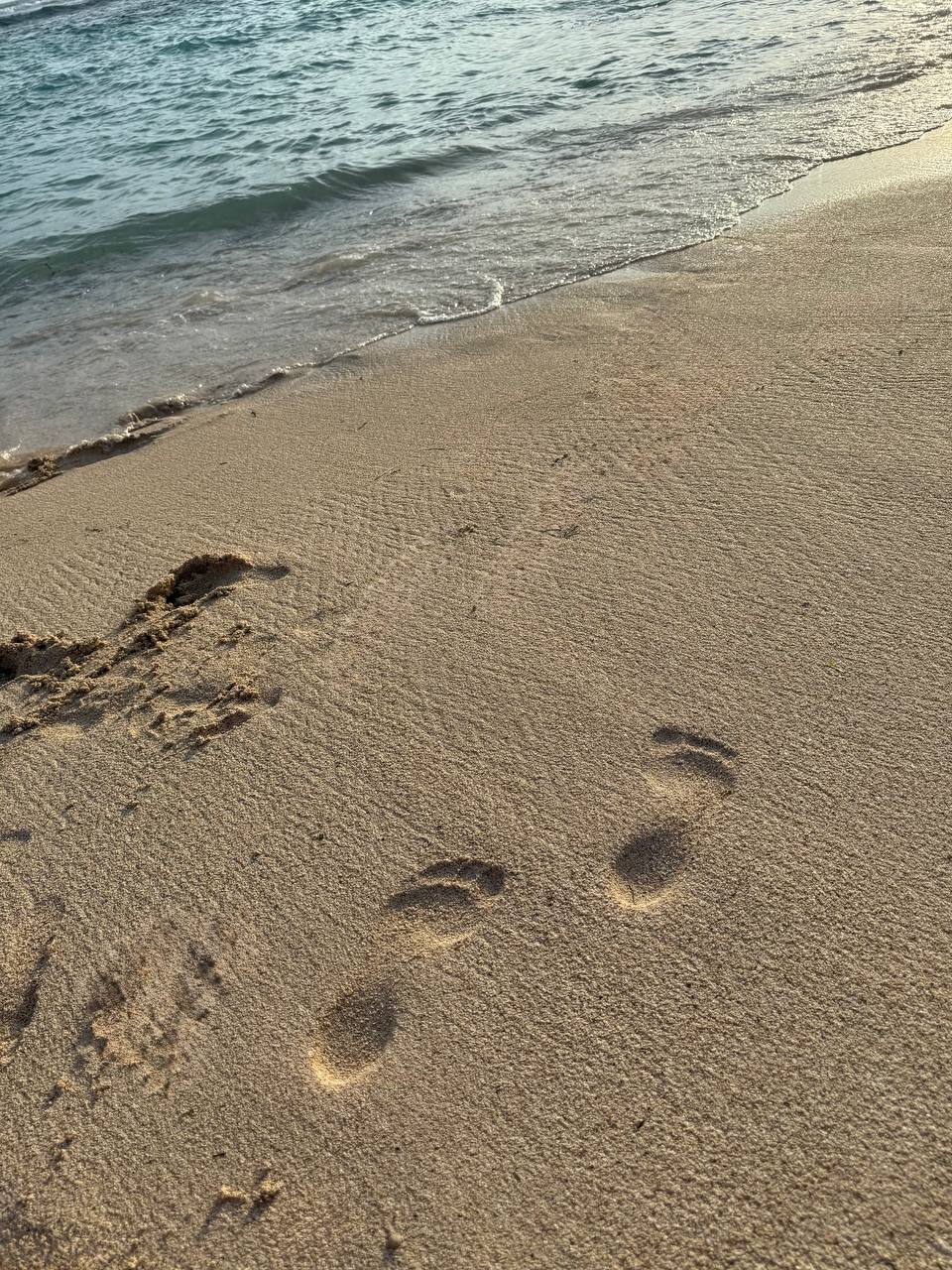 Балийское Блаженство. Волшебное Женское  Путешествие на изумрудном Острове Богов. (140/169)