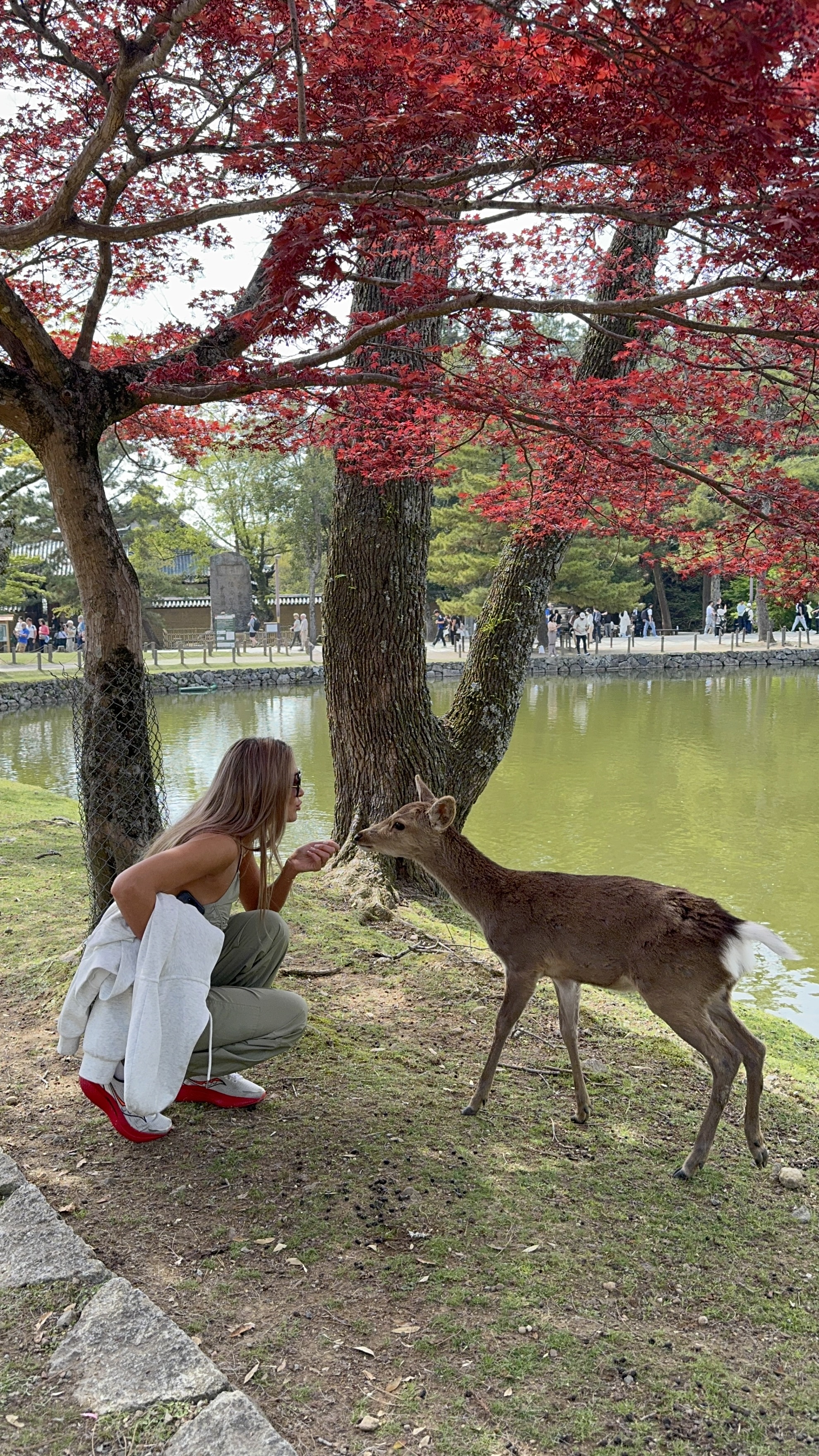 За гранью обычного. Ночь в монастыре, мегаполисы, дзен и лучший шоппинг (26/46)