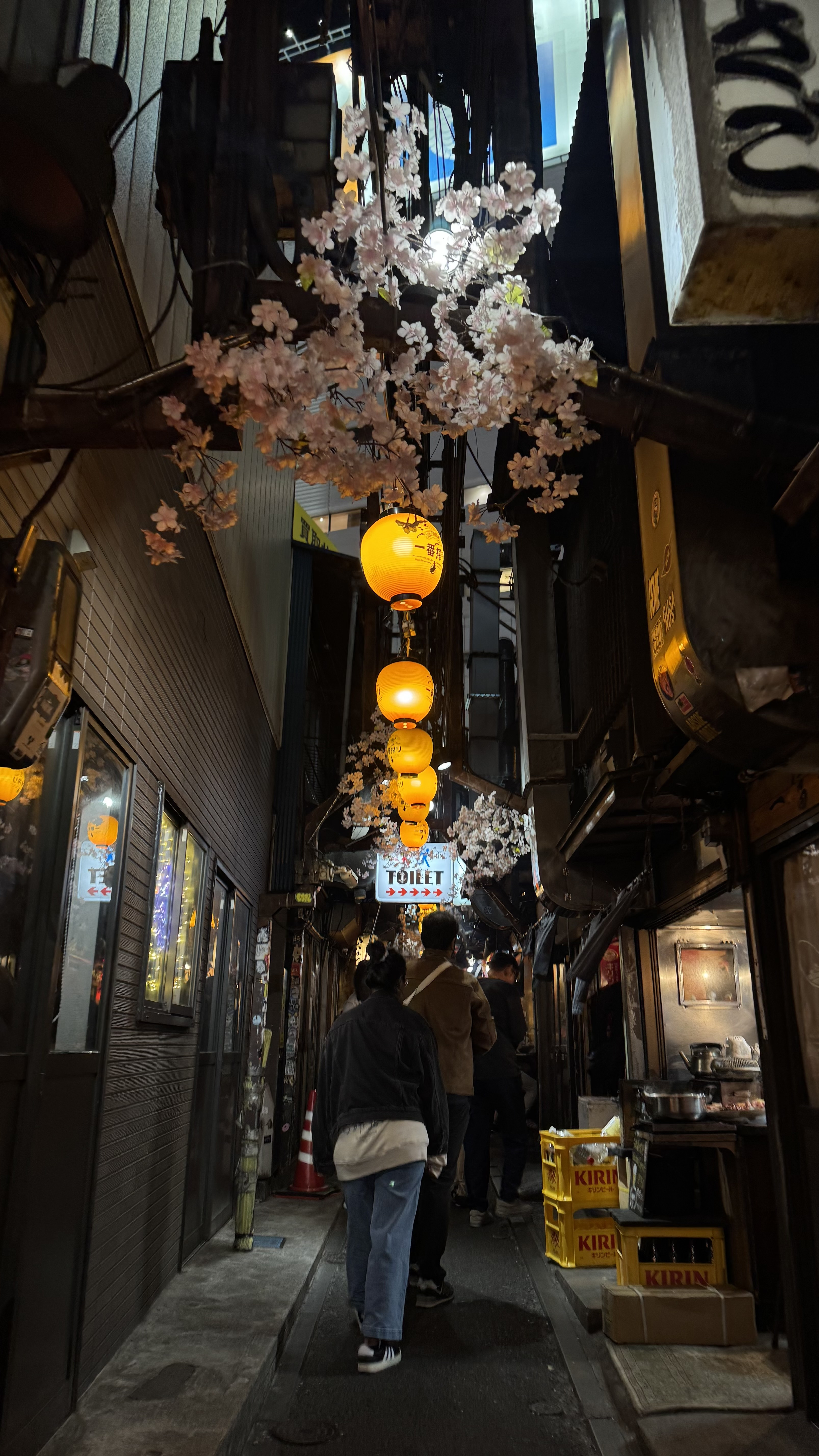 За гранью обычного. Ночь в монастыре, мегаполисы, дзен и лучший шоппинг (8/46)