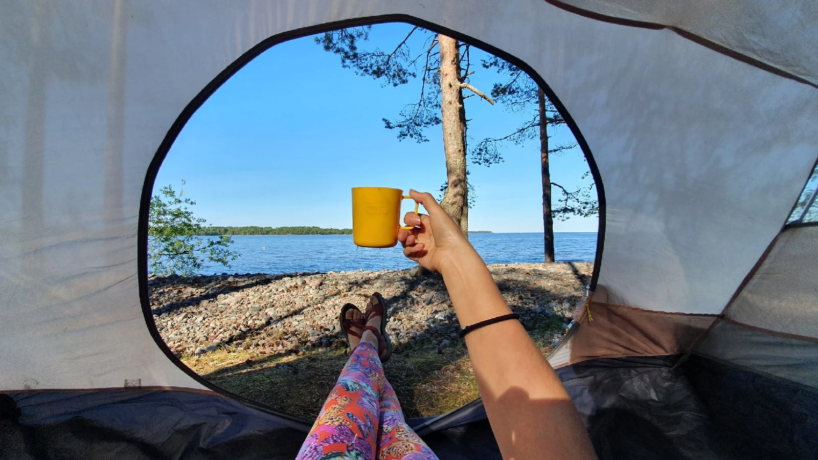 Ладожский берег. Пеший поход с палатками из Санкт-Петербурга