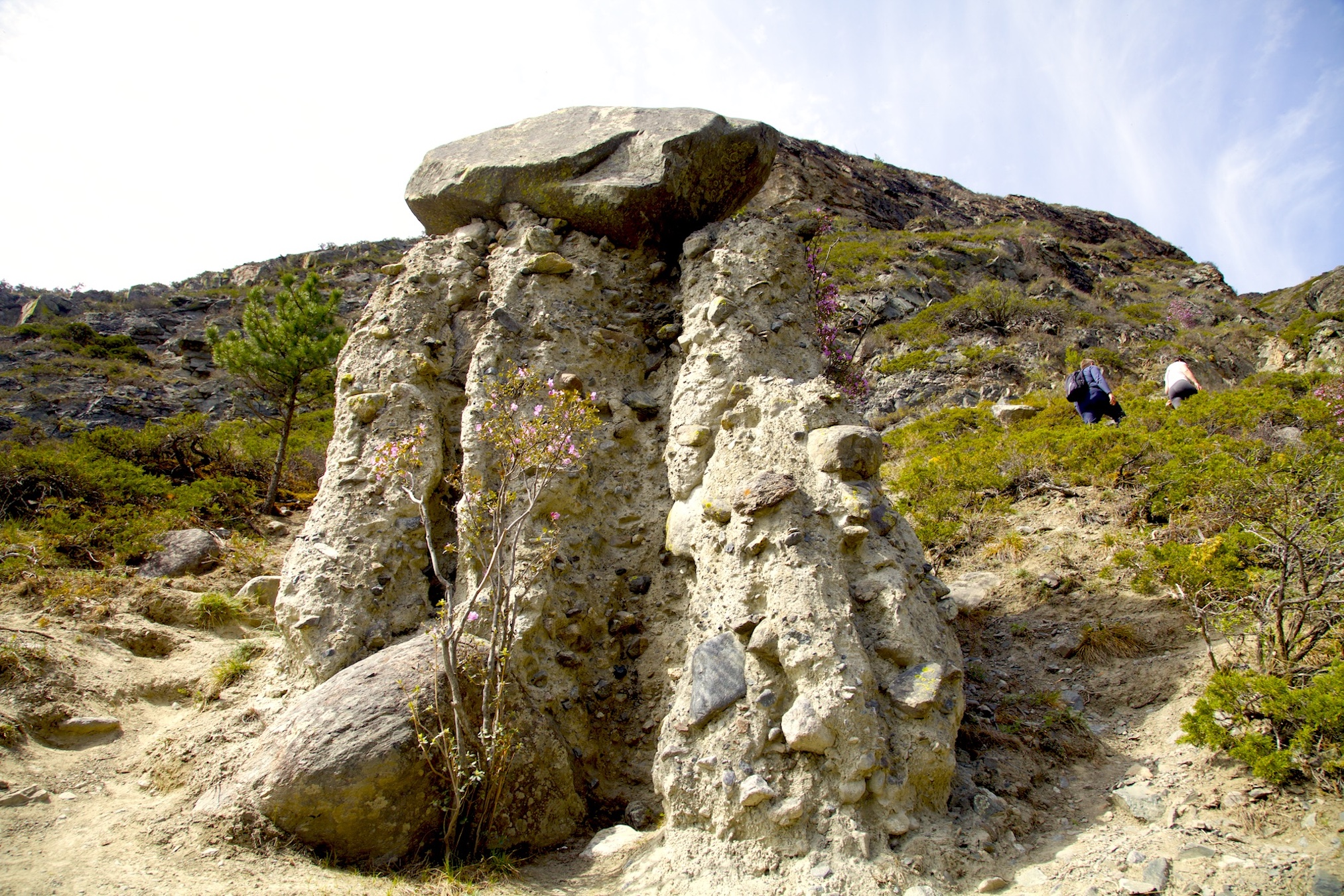 Путешествие к тайнам Горного Алтая (85/111)