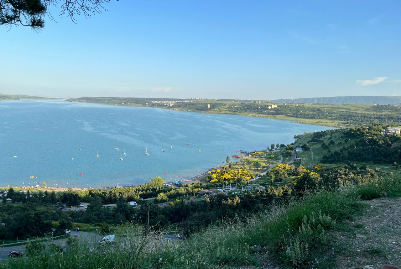 Любовь и Грузия (18/28)