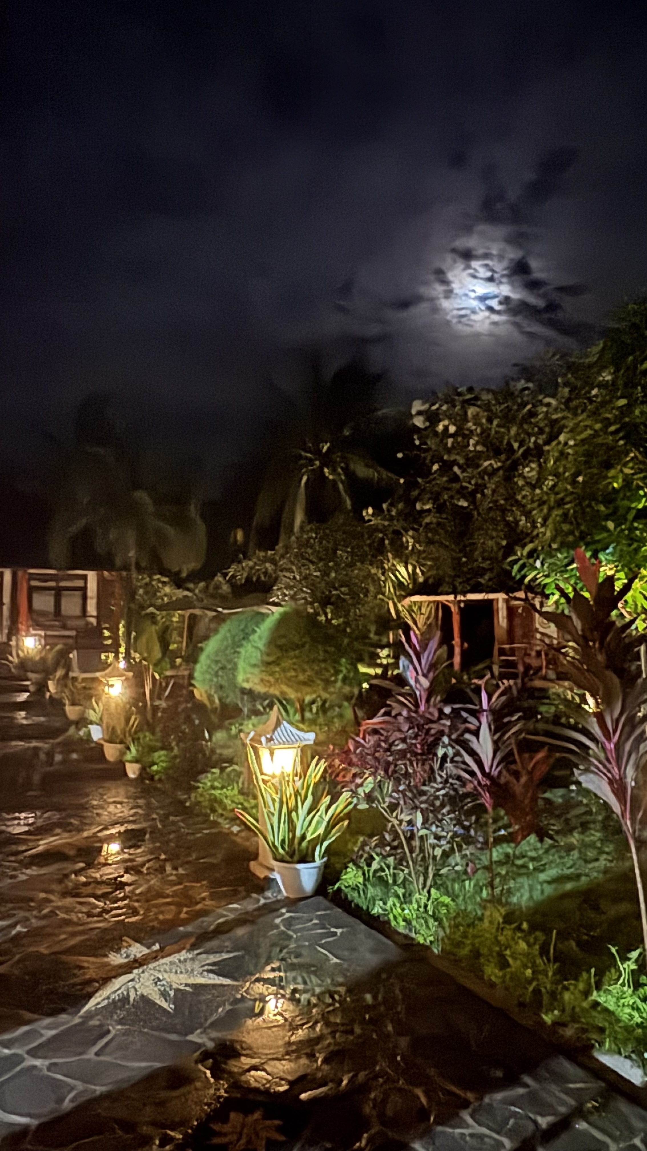 Балийское Блаженство. Волшебное Женское  Путешествие на изумрудном Острове Богов. (107/169)