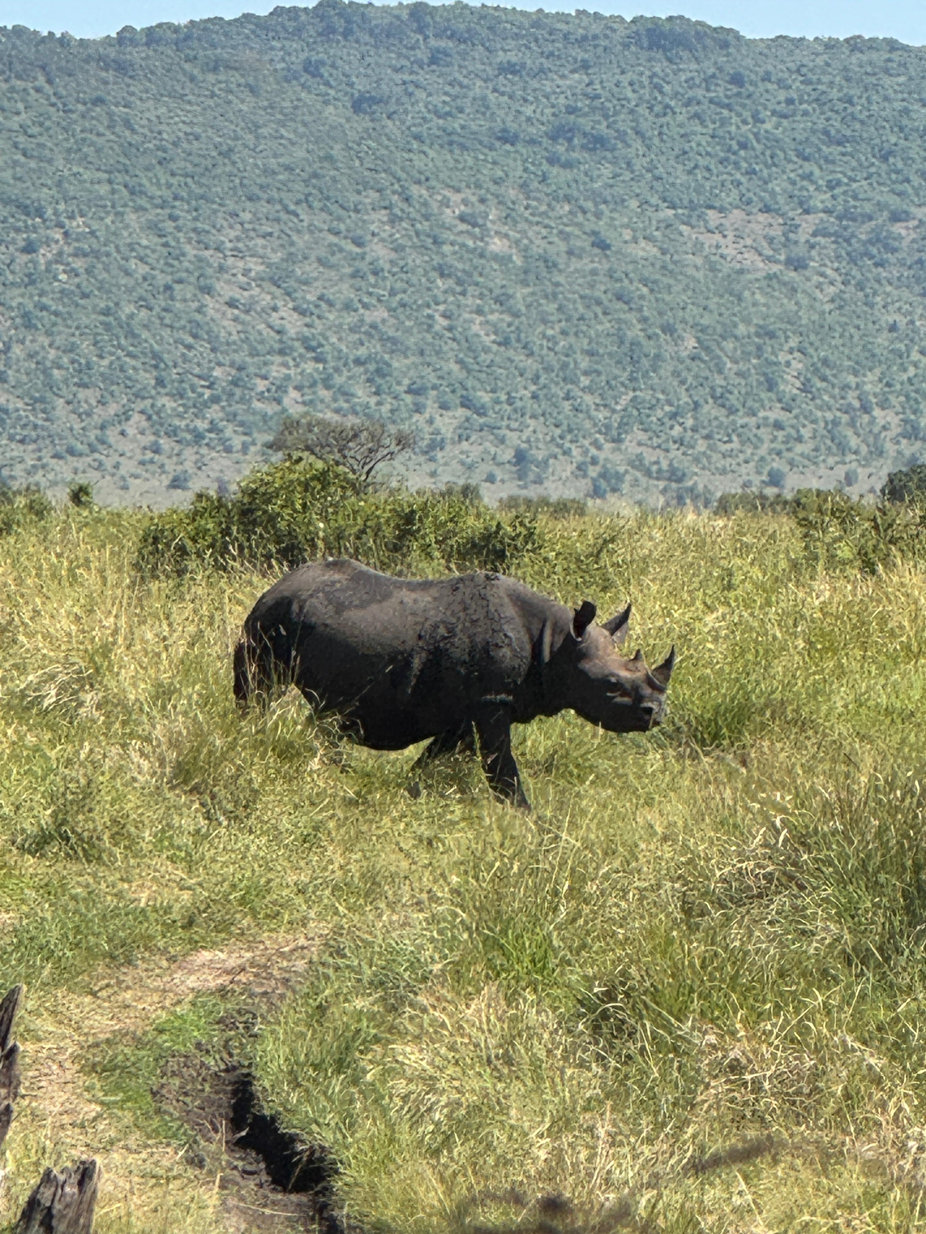 Летающий медовый месяц или юбилей заповедника Лева (3/8)