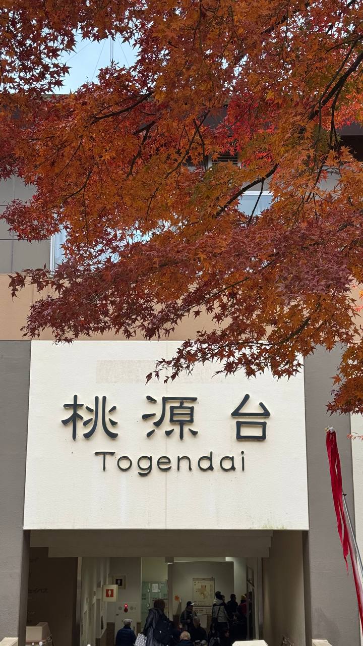 За гранью обычного. Ночь в монастыре, мегаполисы, дзен и лучший шоппинг (37/46)