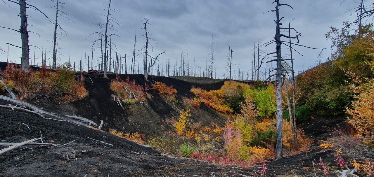 Активная Камчатка и Северные Курилы (12/15)