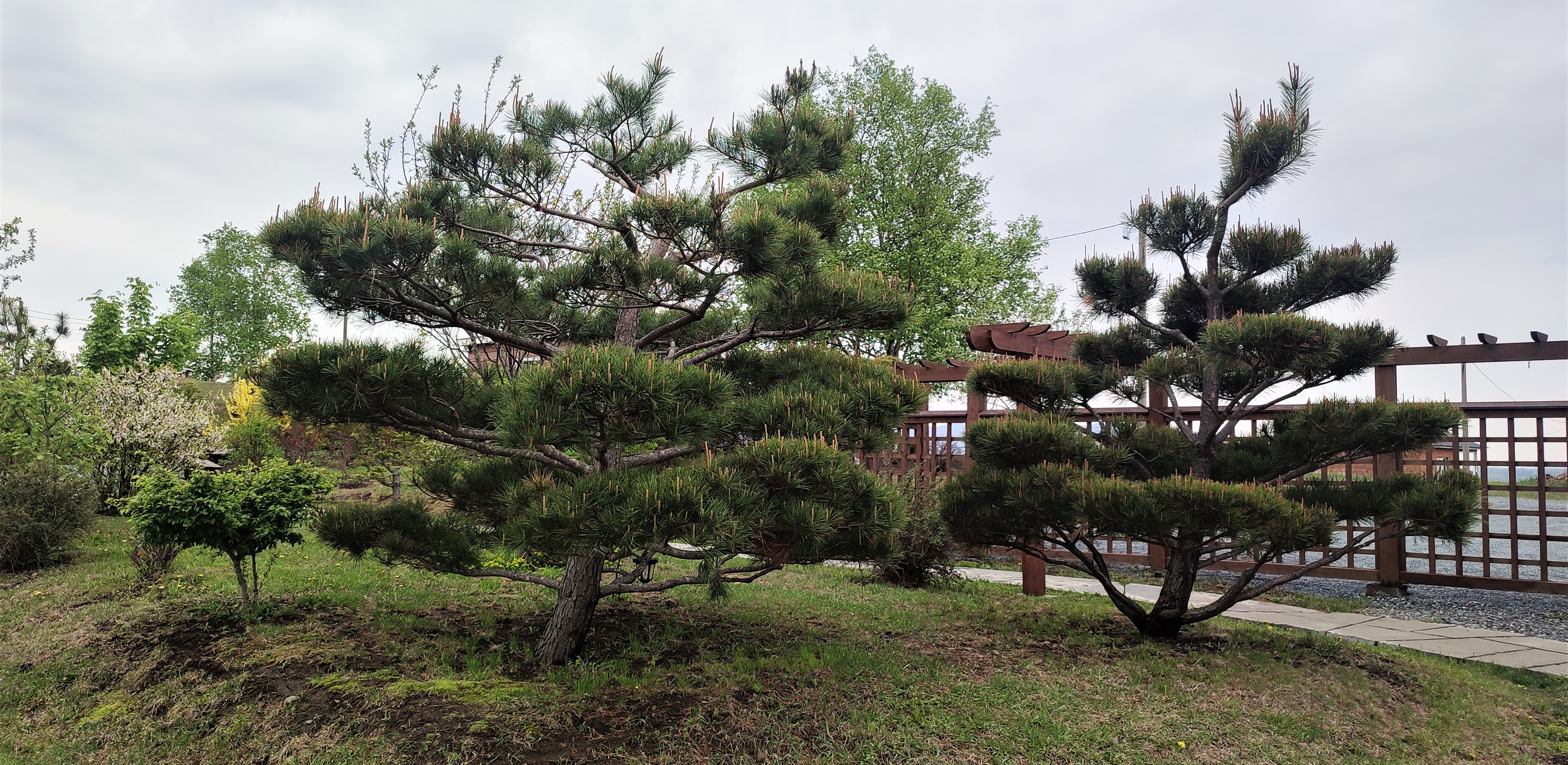 Тур Путешествие на Восток  Находка, море и цветы (3/13)