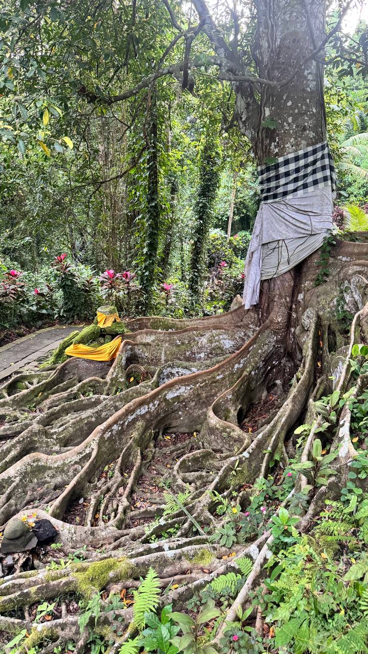Балийское Блаженство. Волшебное Женское  Путешествие на изумрудном Острове Богов. (128/169)