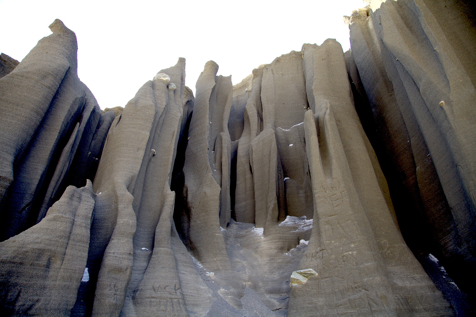 Путешествие к тайнам Горного Алтая (92/111)