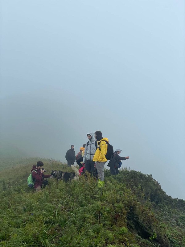 Активная Камчатка и Северные Курилы (11/15)