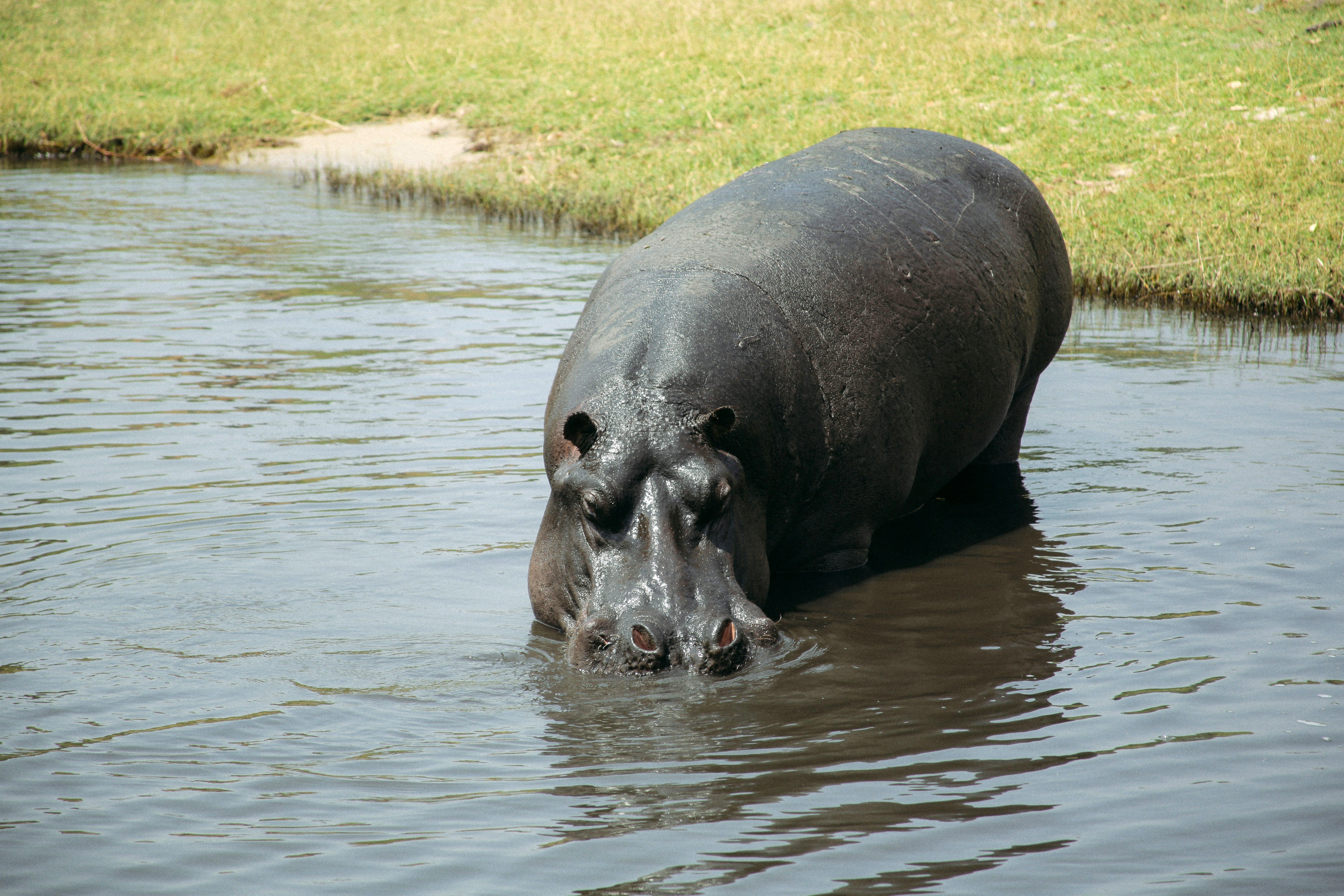 Тур в Намибию и на водопад Виктория с подбором перелета (32/36)