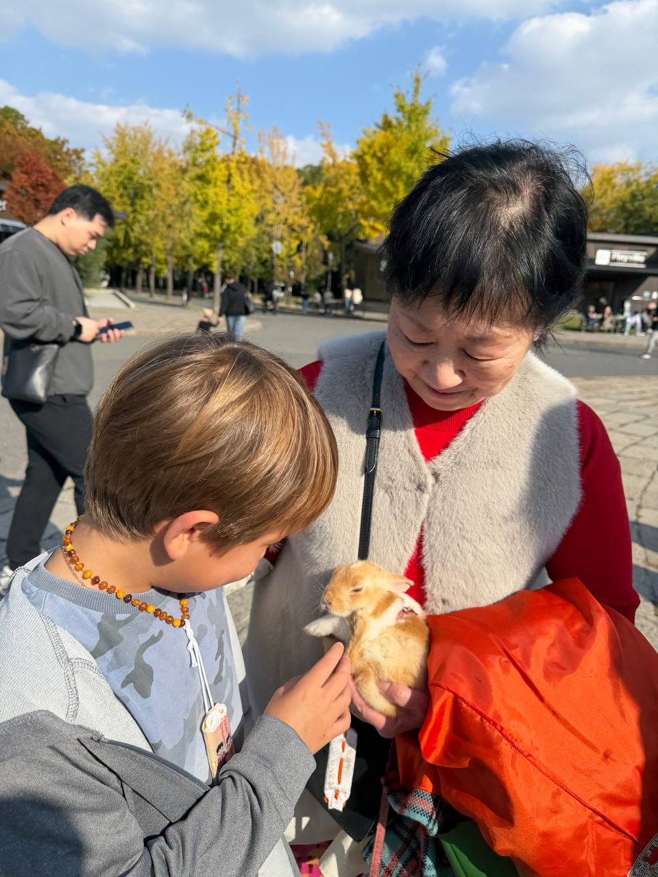 За гранью обычного. Ночь в монастыре, мегаполисы, дзен и лучший шоппинг (14/46)
