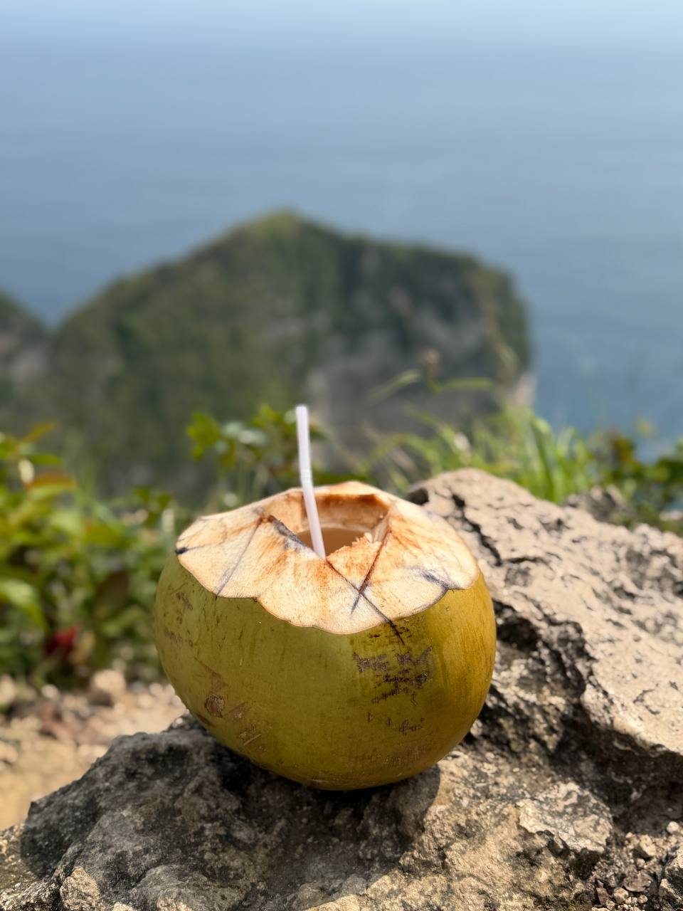 Балийское Блаженство. Волшебное Женское  Путешествие на изумрудном Острове Богов. (115/169)