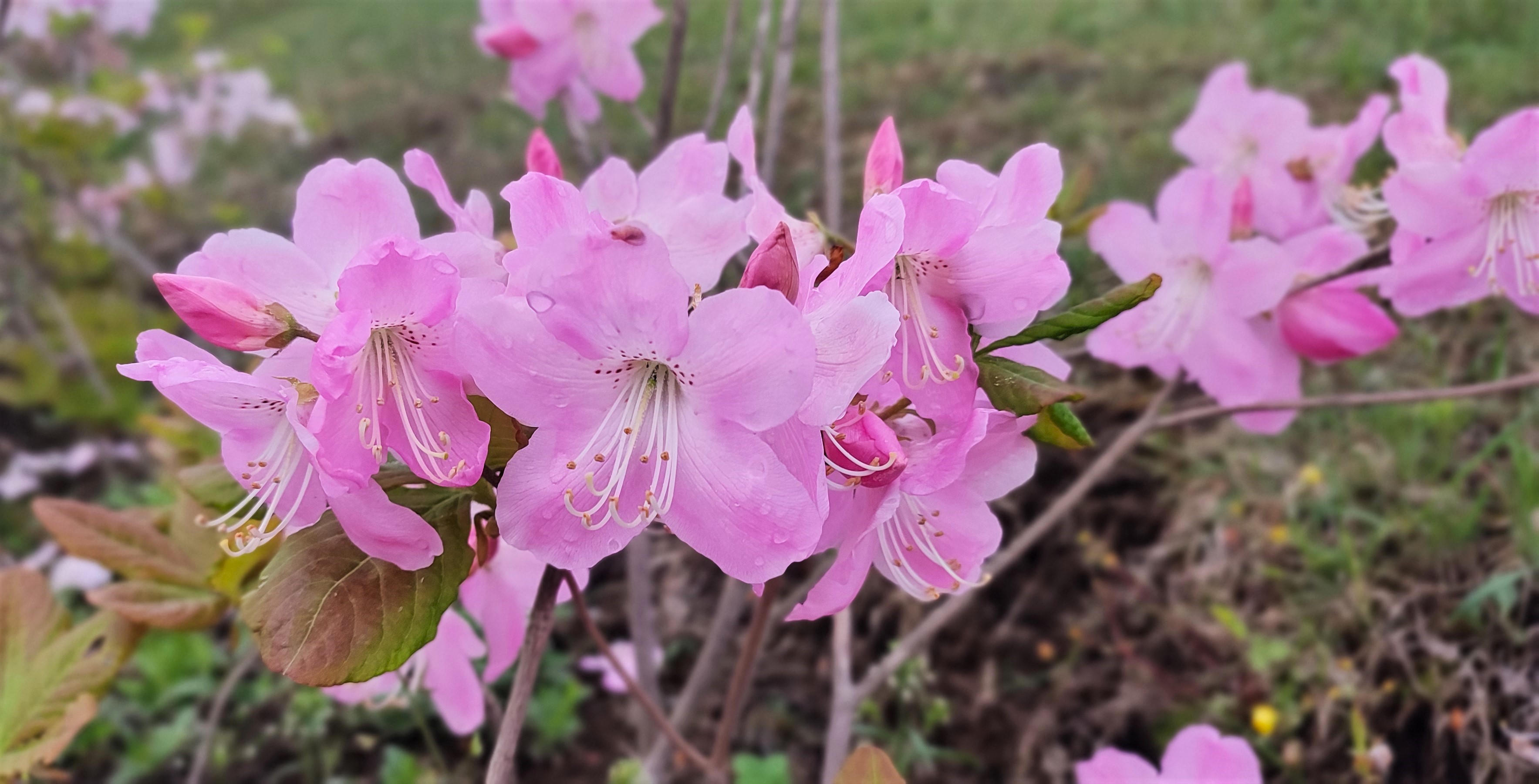 Тур Путешествие на Восток  Находка, море и цветы