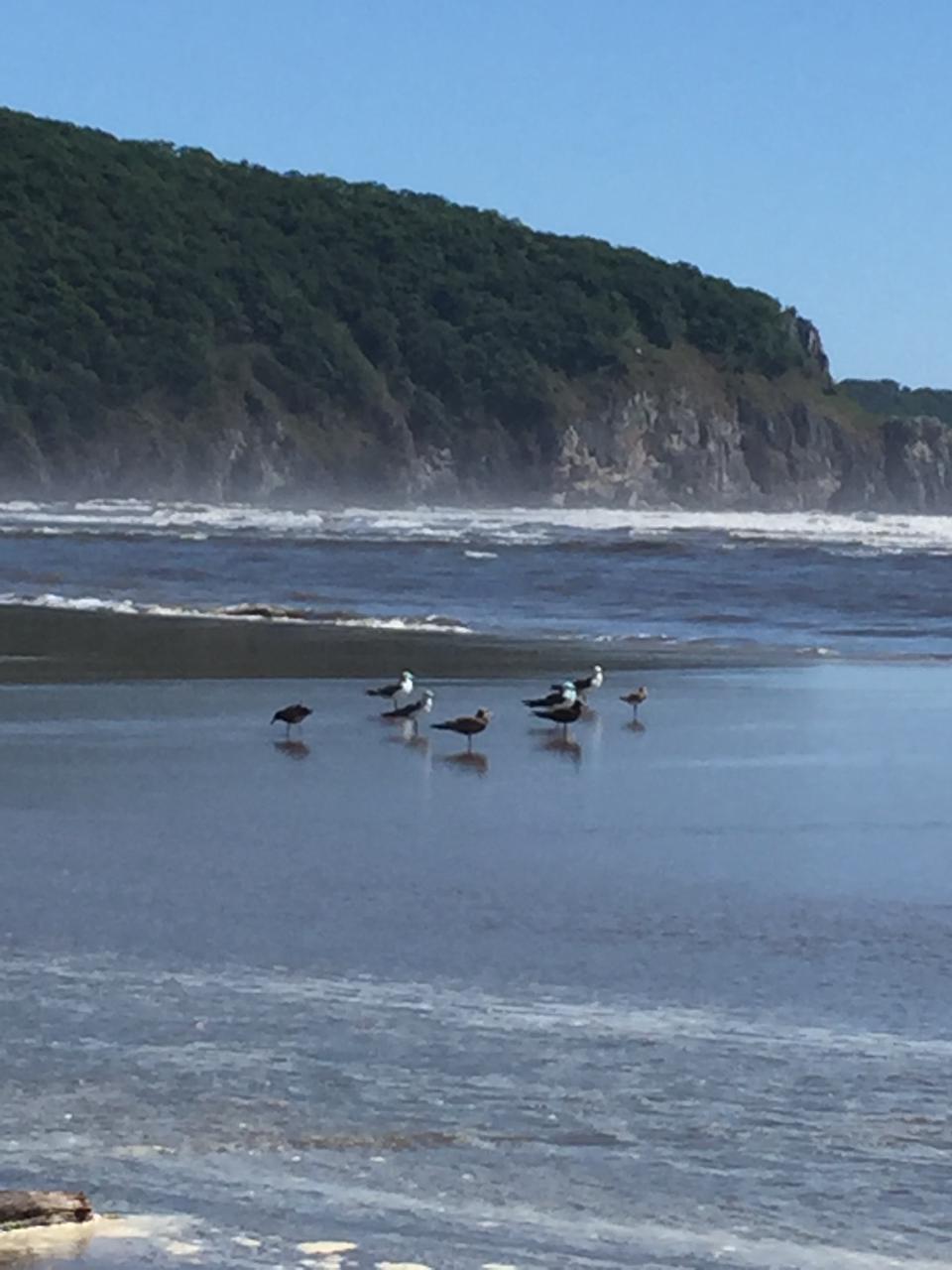 Тур Путешествие на Восток  Находка, море и цветы (11/13)