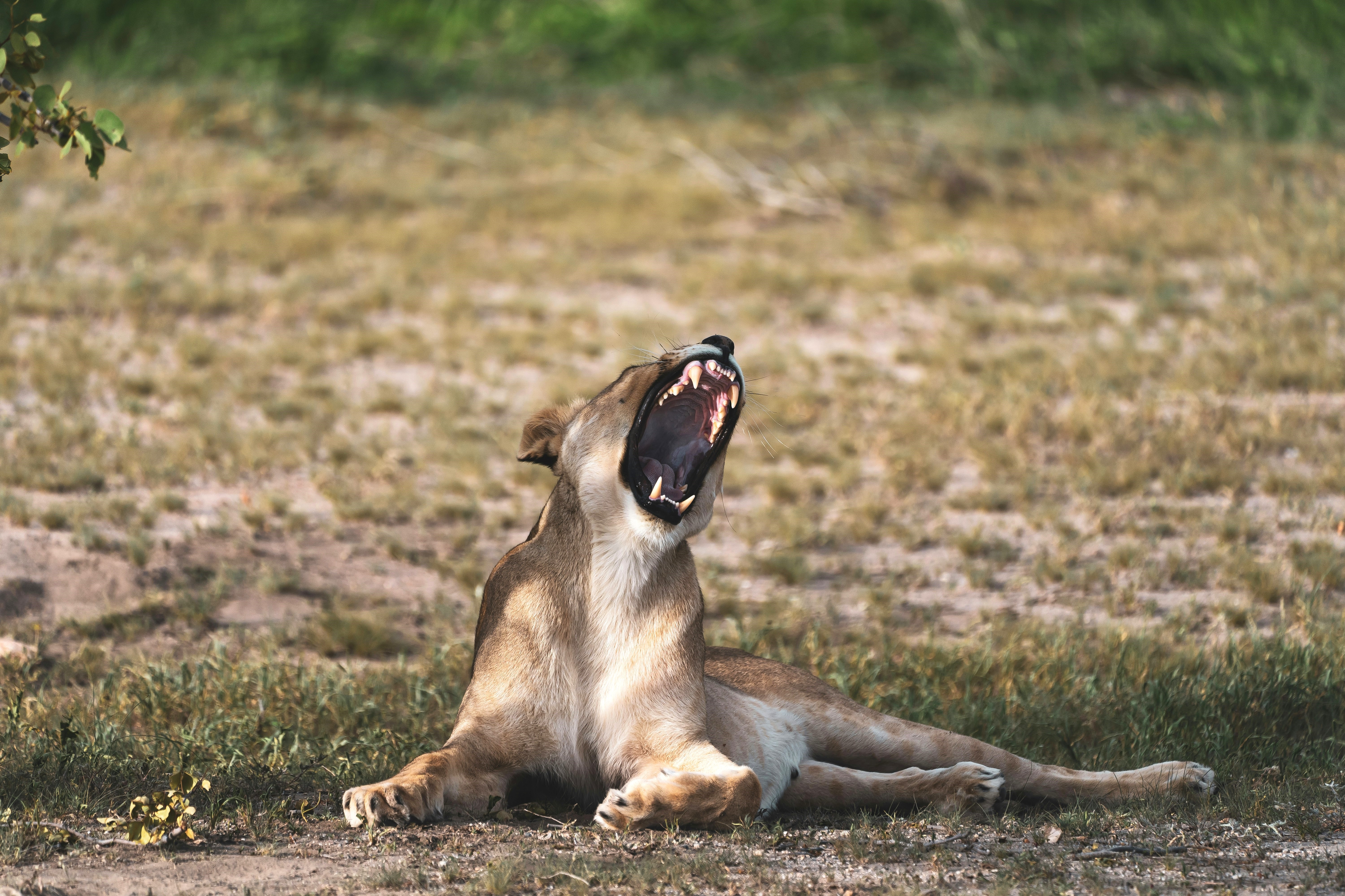 Тур в Намибию без сложной логистики - всё продумано за вас (25/30)