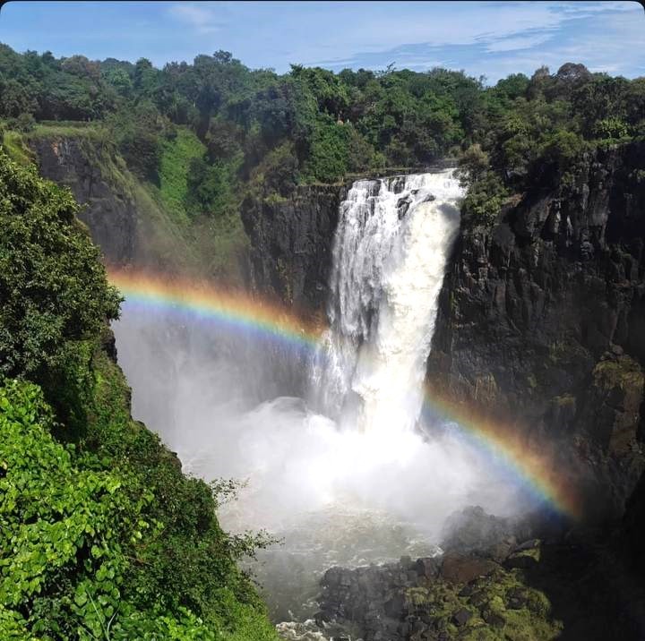 Тур в Намибию и на водопад Виктория с подбором перелета (29/36)