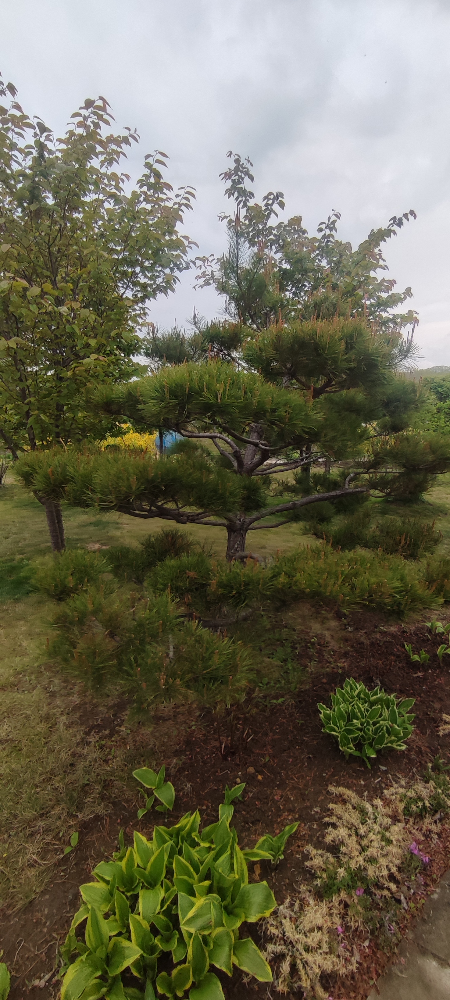 Тур Путешествие на Восток  Находка, море и цветы (4/13)