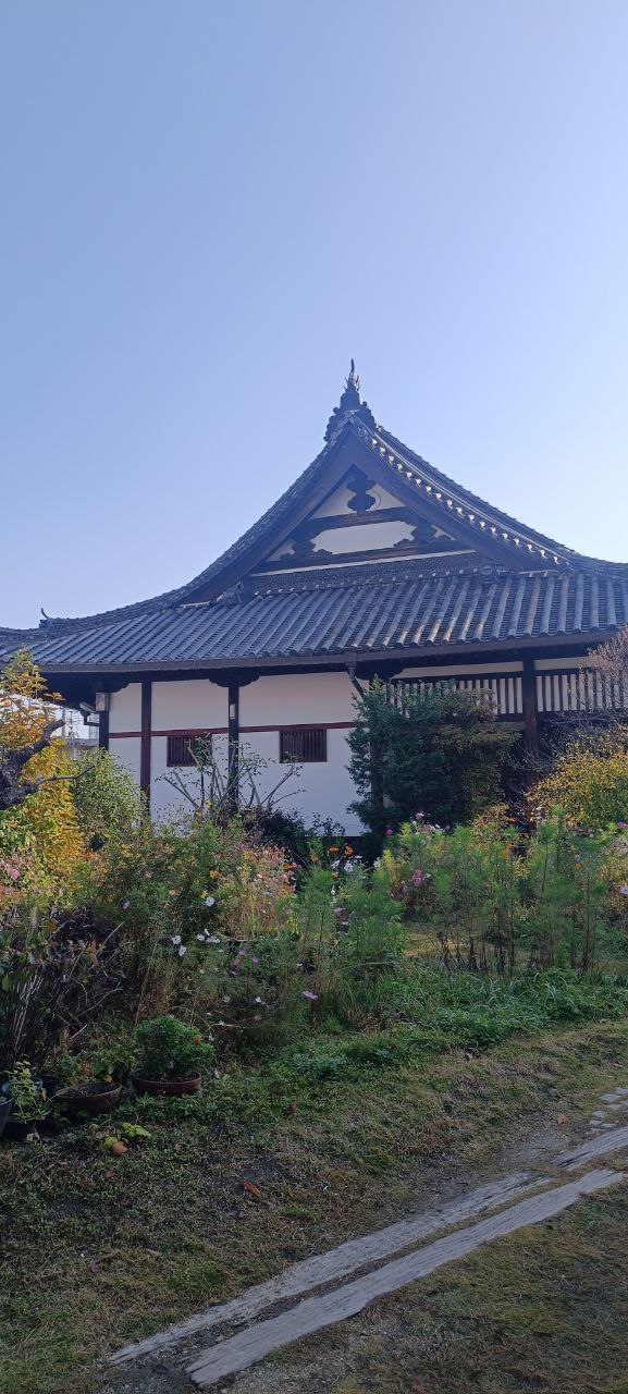 За гранью обычного. Ночь в монастыре, мегаполисы, дзен и лучший шоппинг (23/46)