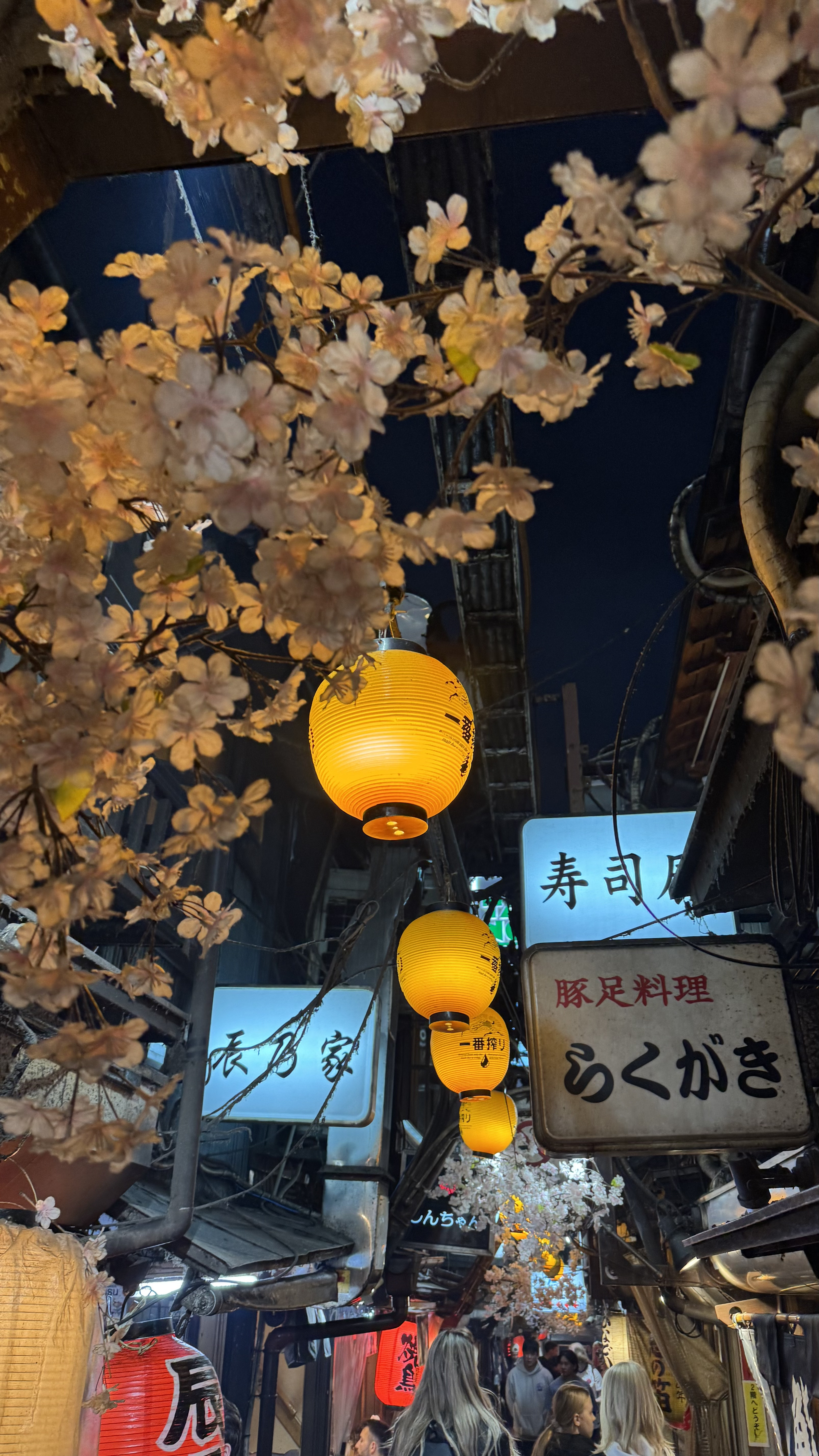 За гранью обычного. Ночь в монастыре, мегаполисы, дзен и лучший шоппинг (44/46)