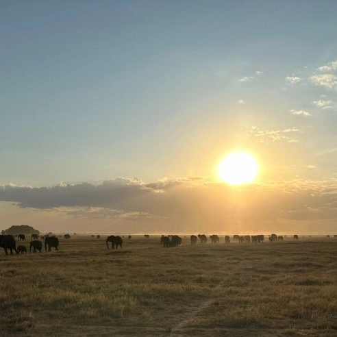 Летающий медовый месяц или юбилей заповедника Лева (5/8)