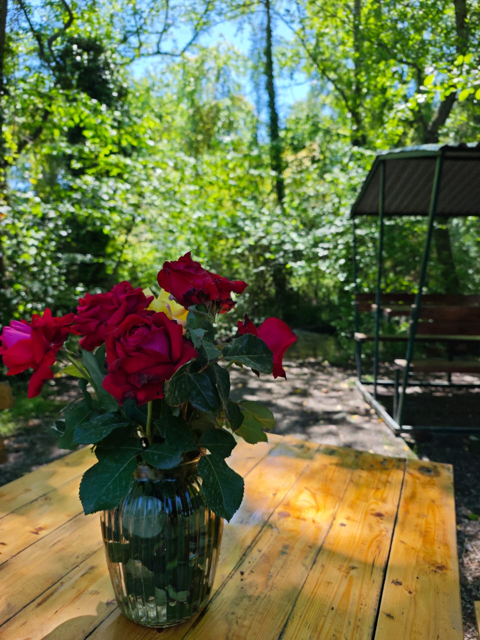 Самурский лиановый лес, экраноплан Лунь и пляж с черным песком. Купальный тур. (9/10)