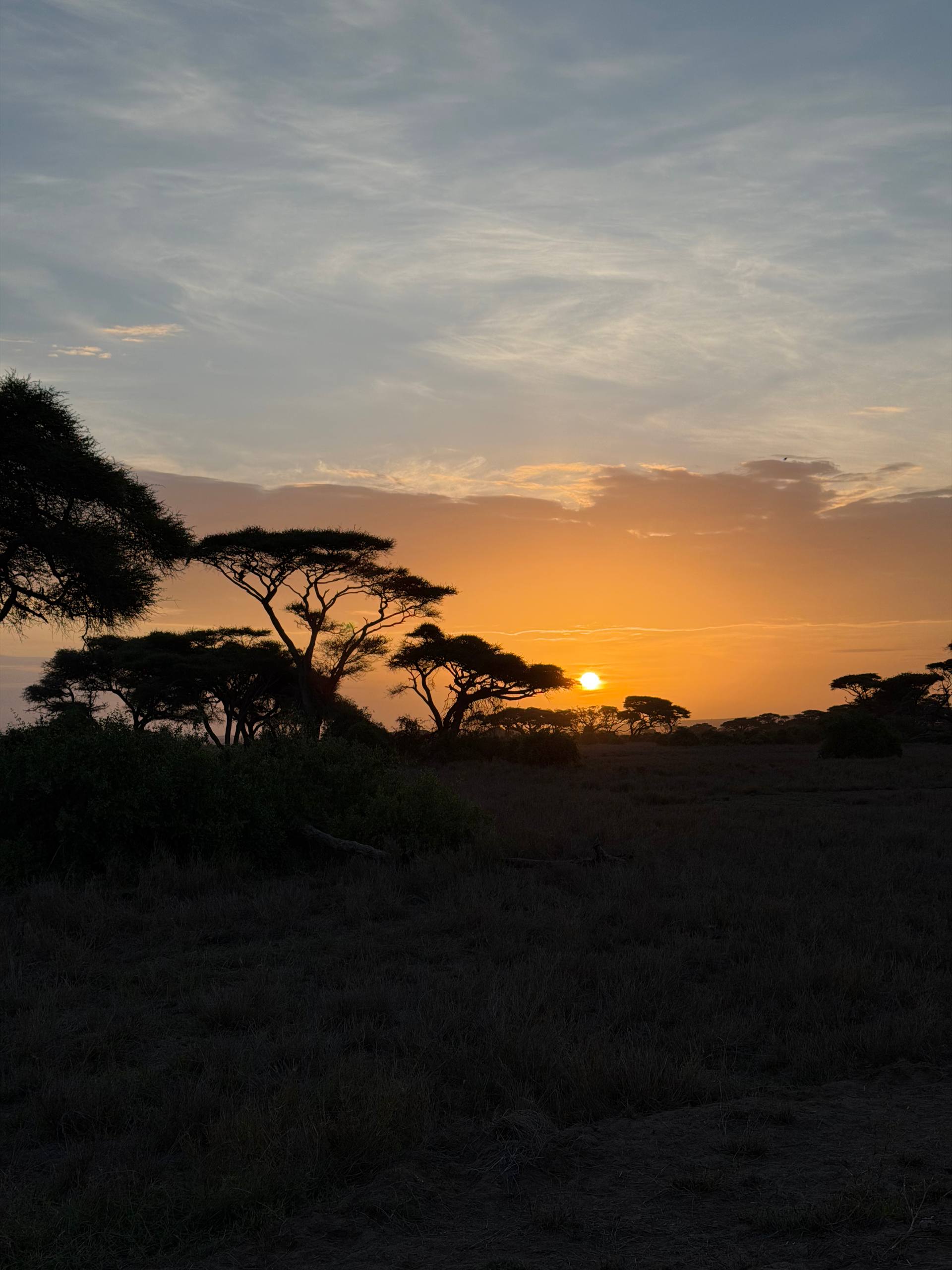 Тур в Намибию и на водопад Виктория с подбором перелета (35/36)
