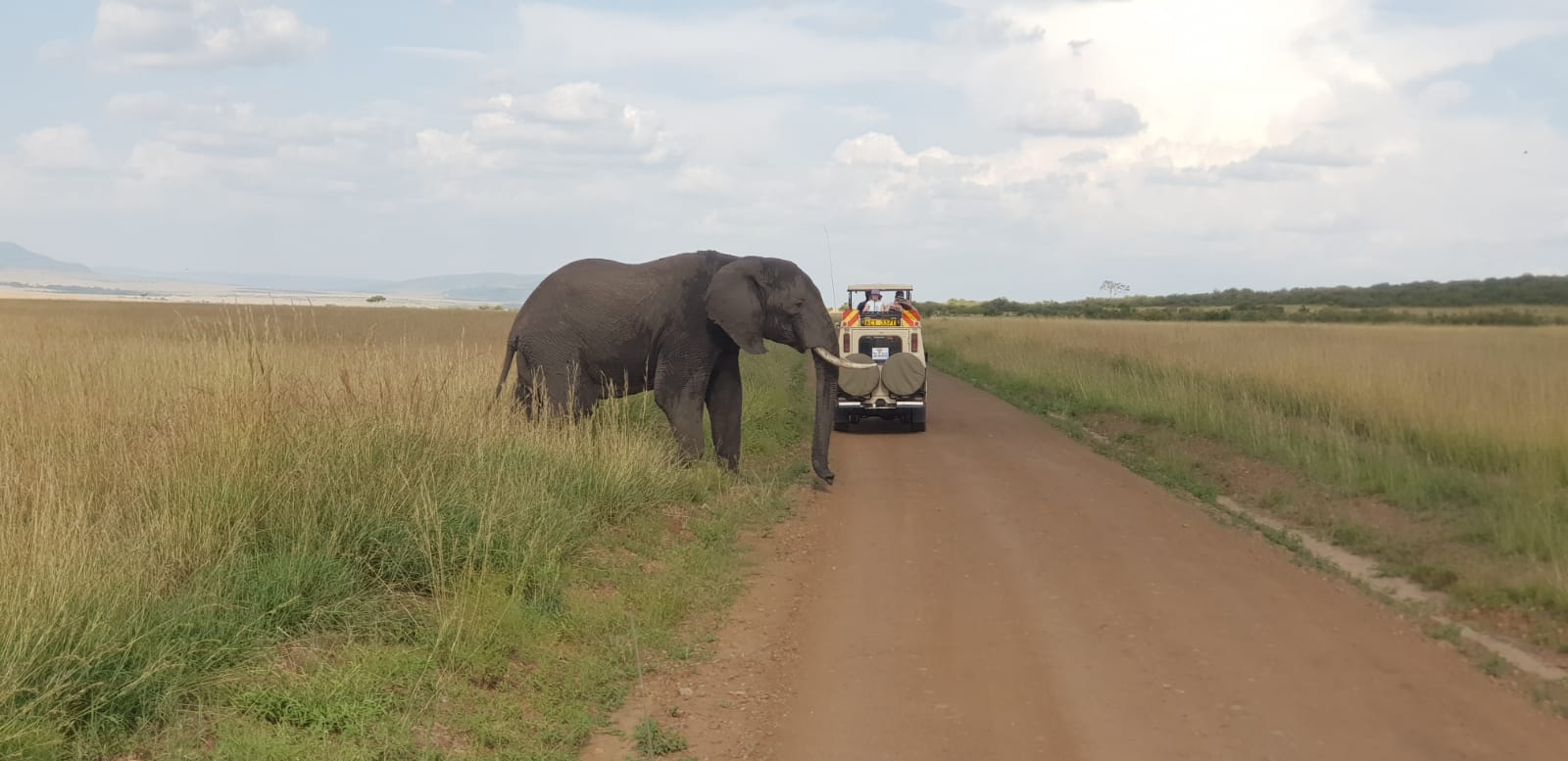 Летающий медовый месяц или юбилей заповедника Лева (7/8)