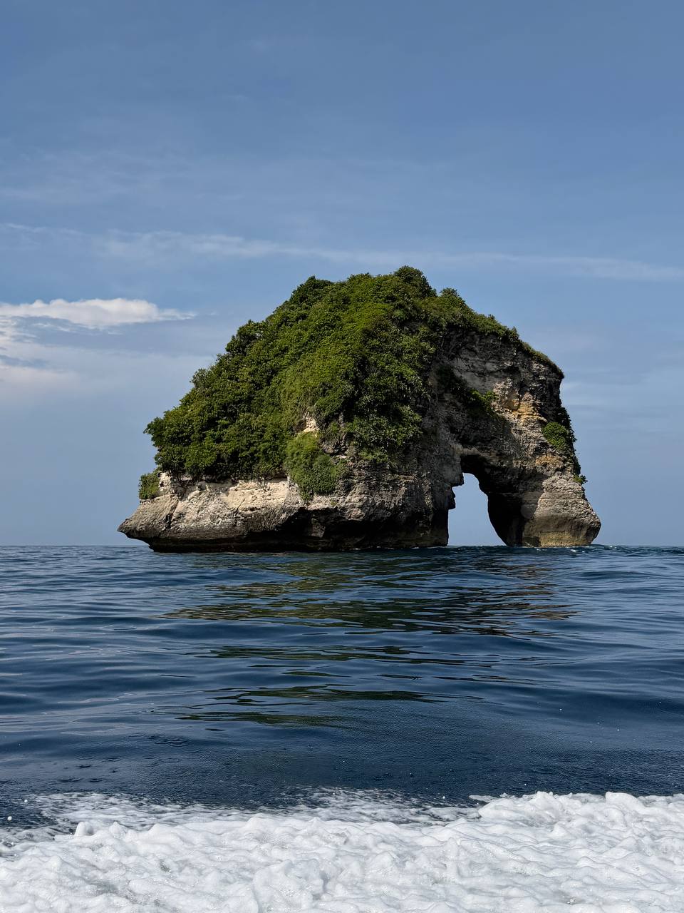 Балийское Блаженство. Волшебное Женское  Путешествие на изумрудном Острове Богов. (118/169)