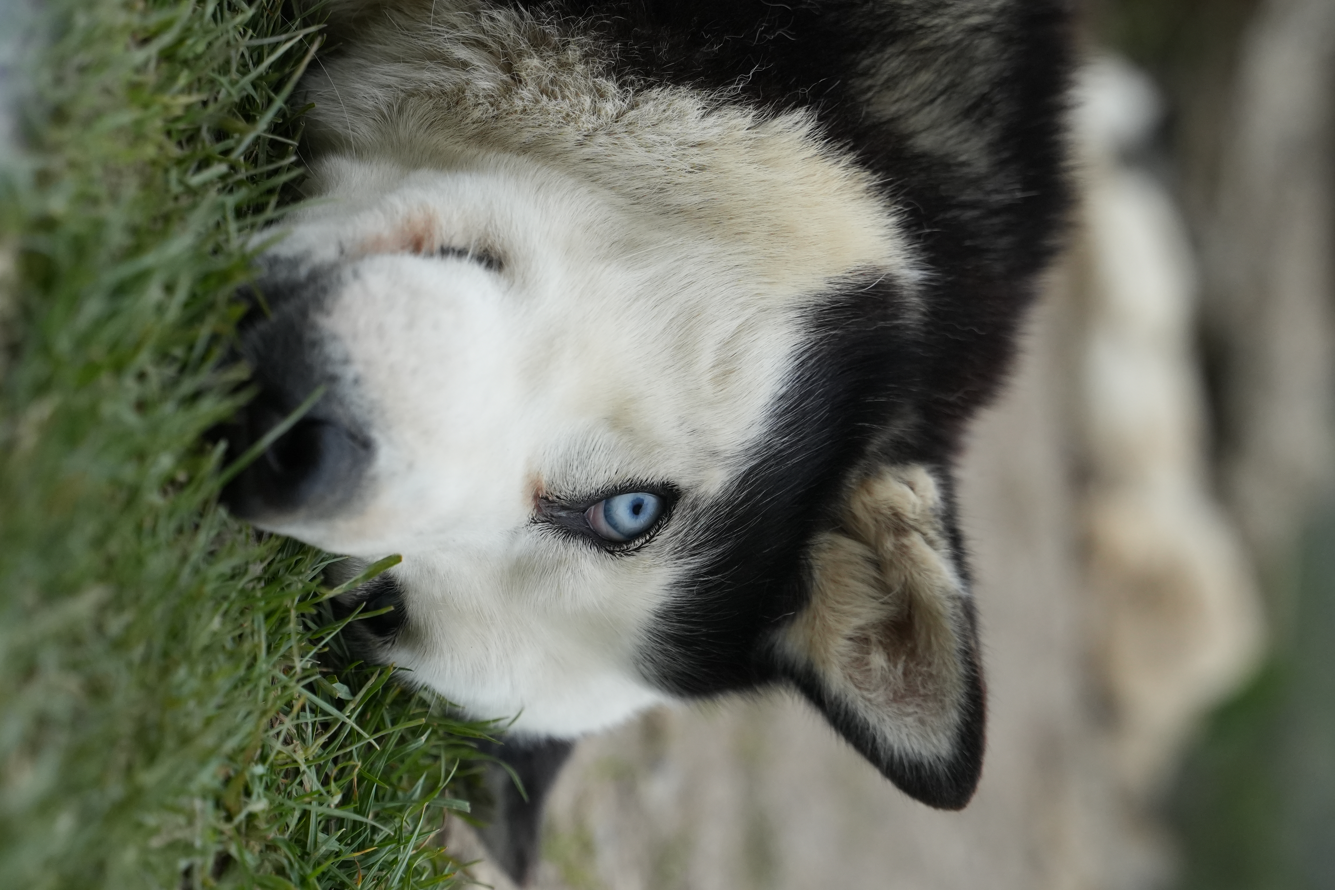 Северная Осетия и Кабардино-Балкария,Ингушетия Акция (70/85)