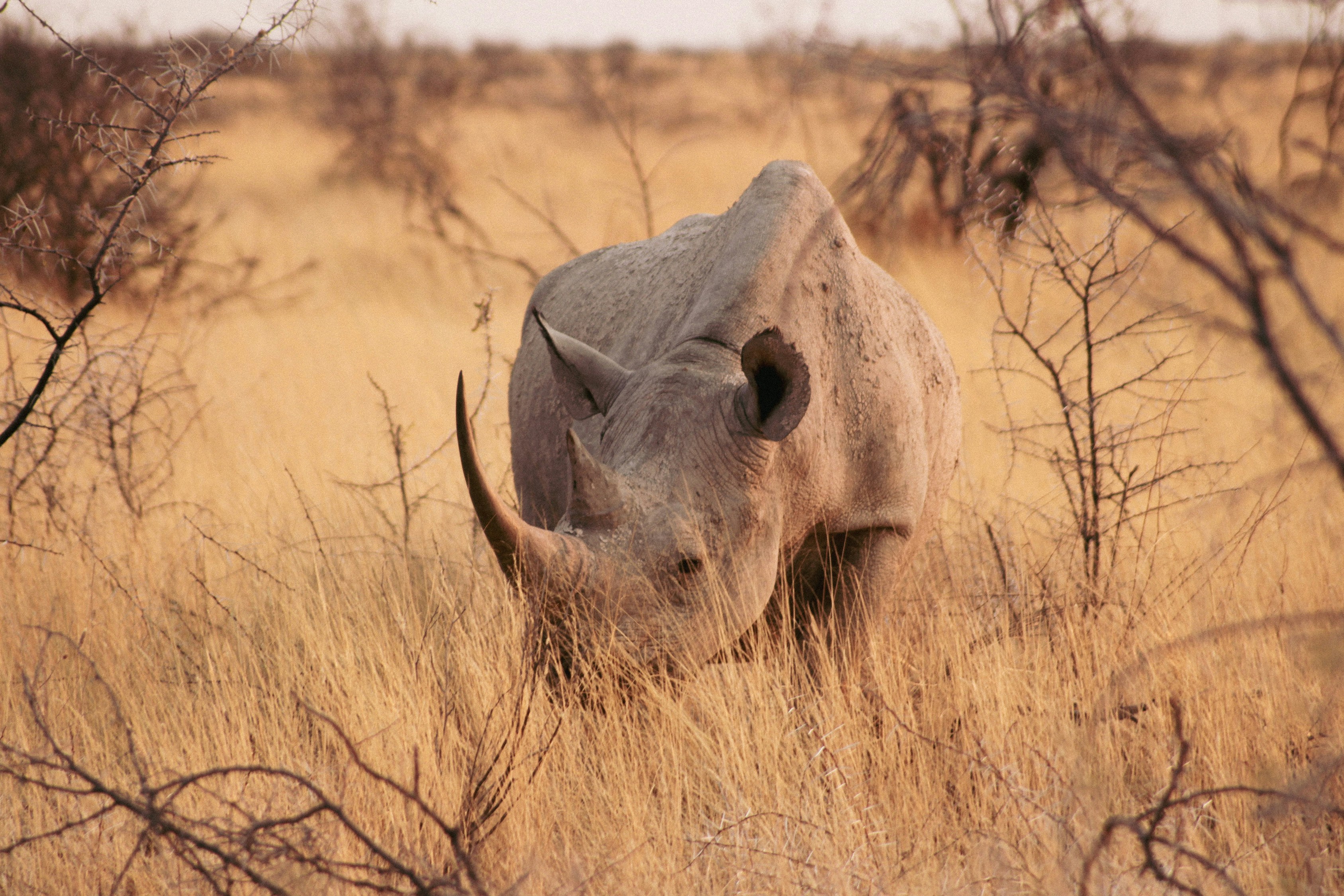 Тур в Намибию и на водопад Виктория с подбором перелета (7/36)