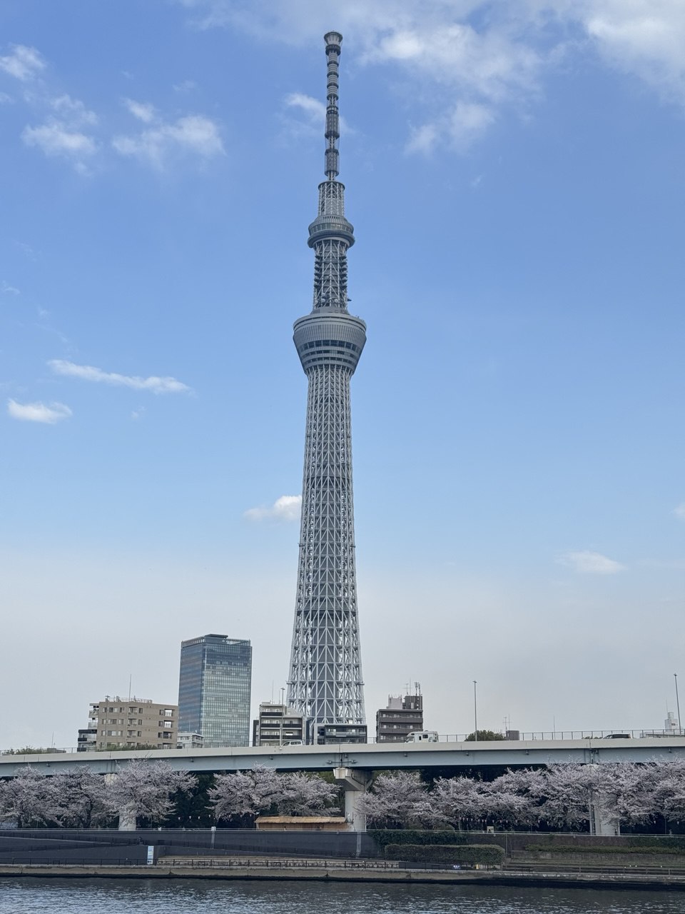 За гранью обычного. Ночь в монастыре, мегаполисы, дзен и лучший шоппинг (4/46)
