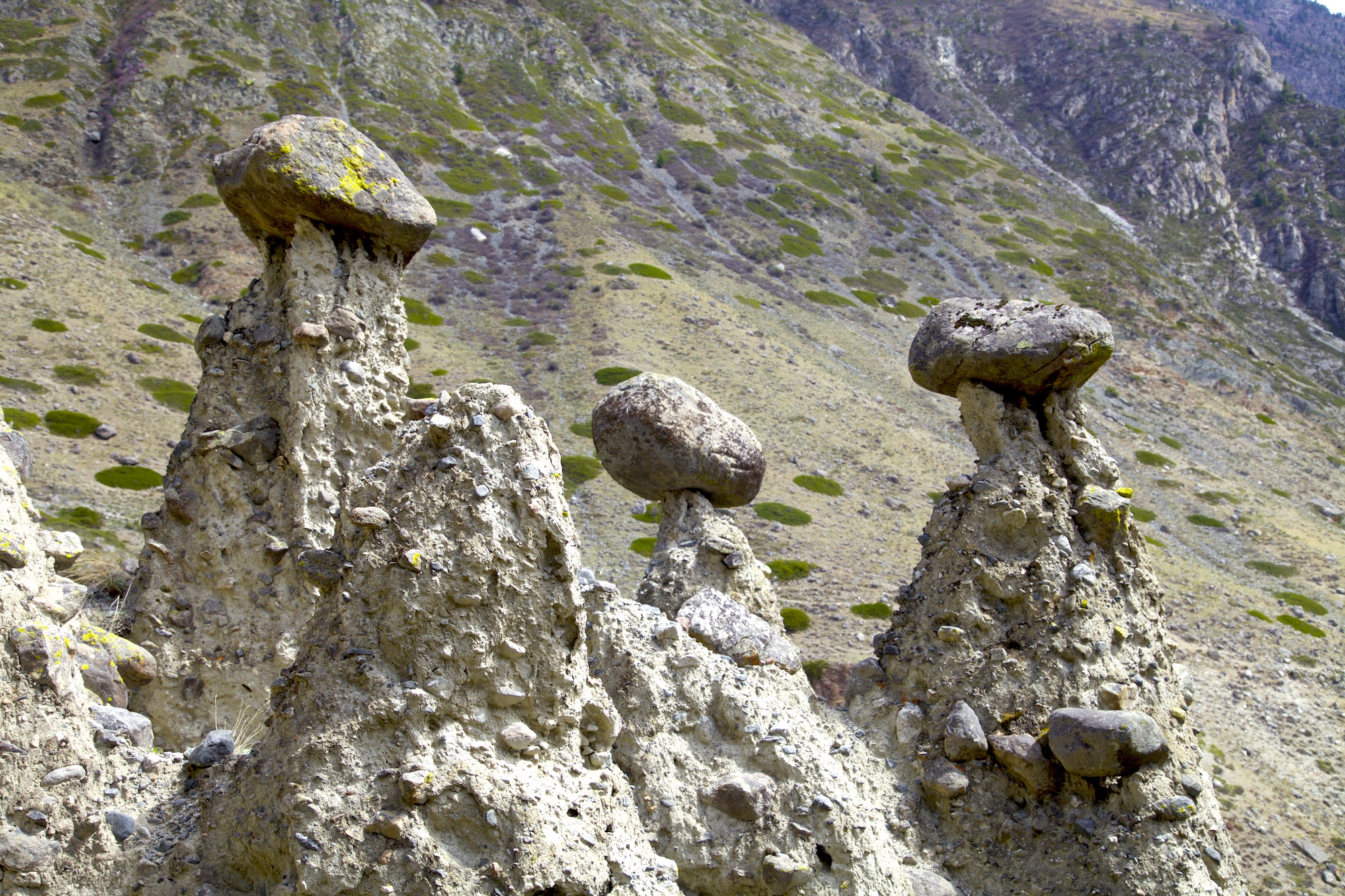 Путешествие к тайнам Горного Алтая (16/111)